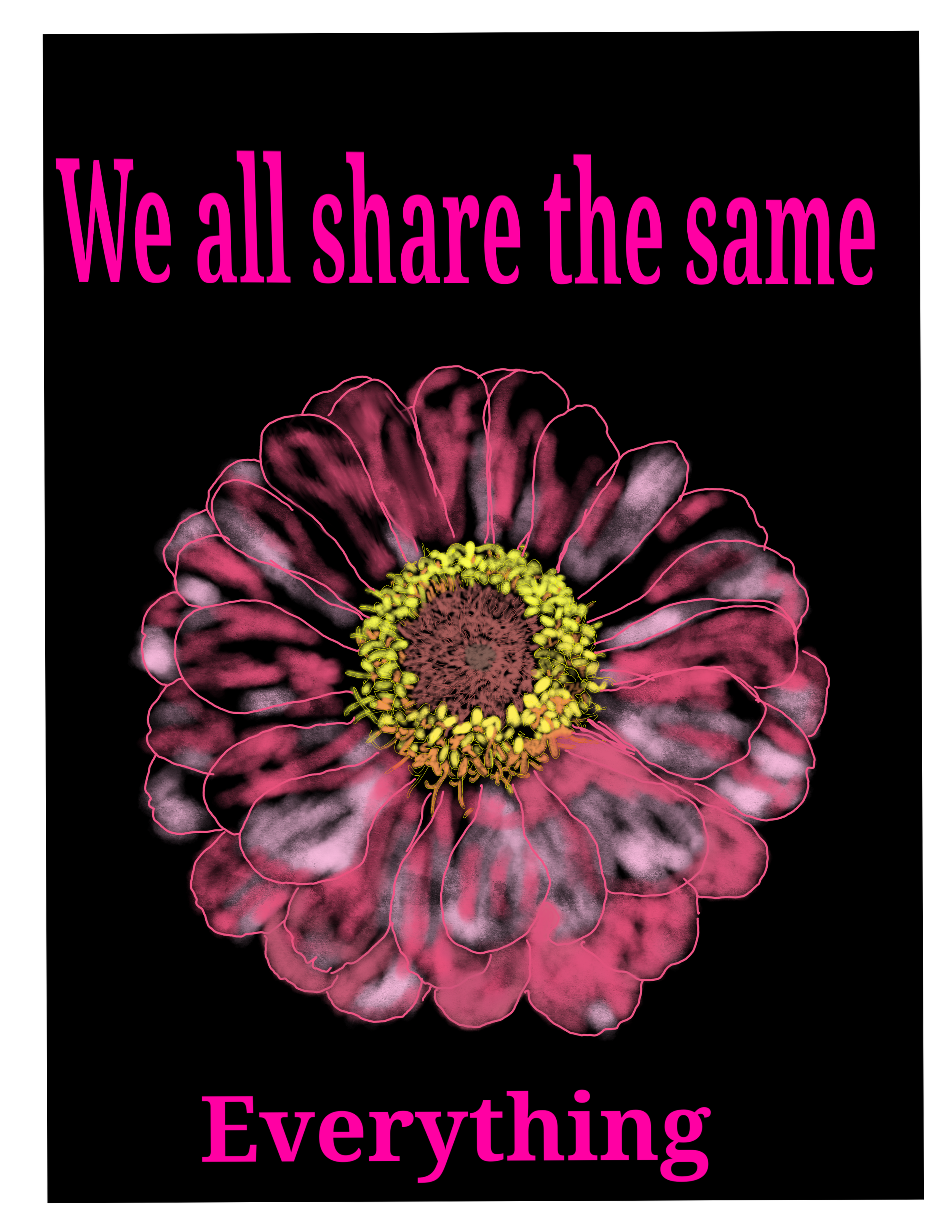 we all Shere the same everything