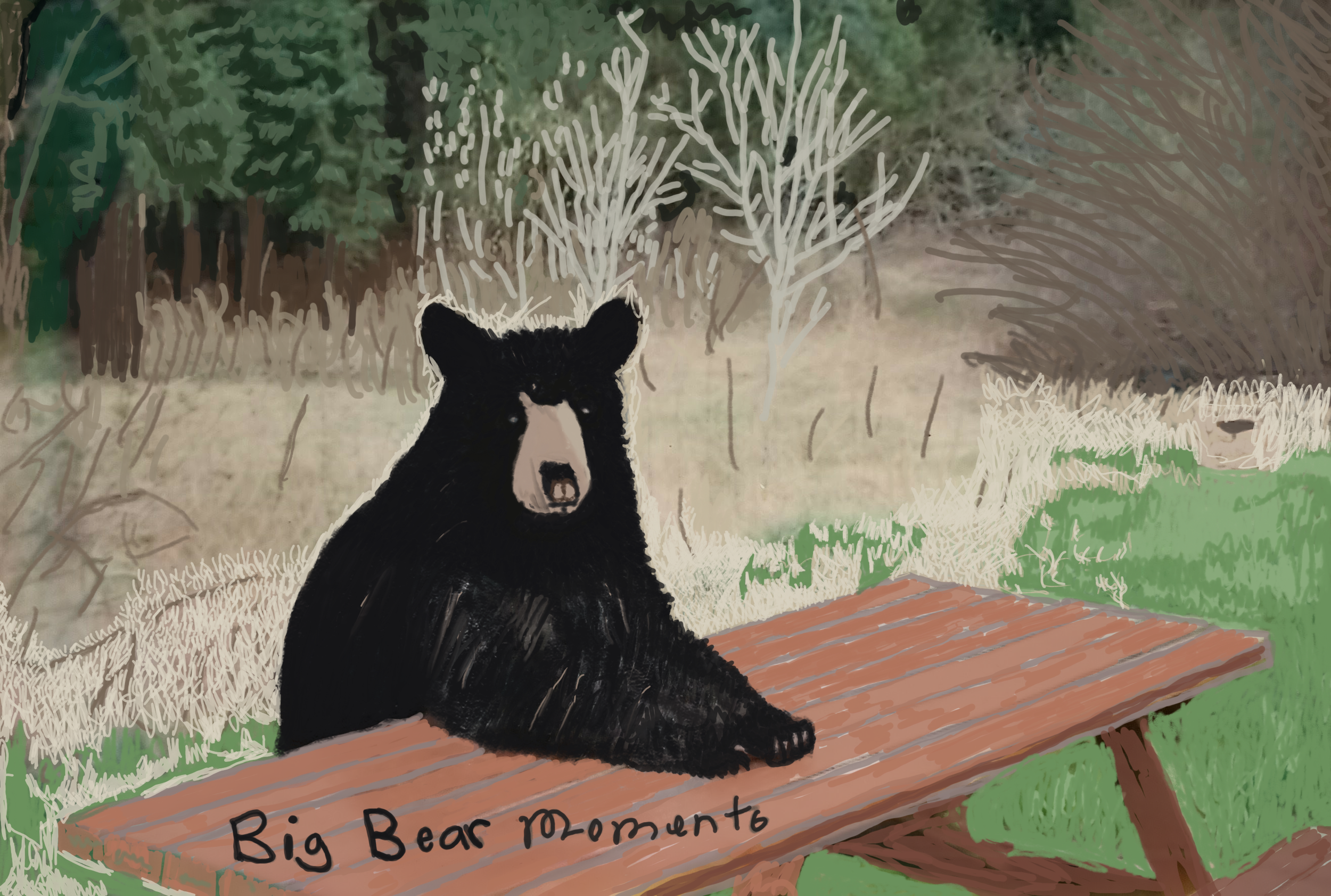 Big Bear momento