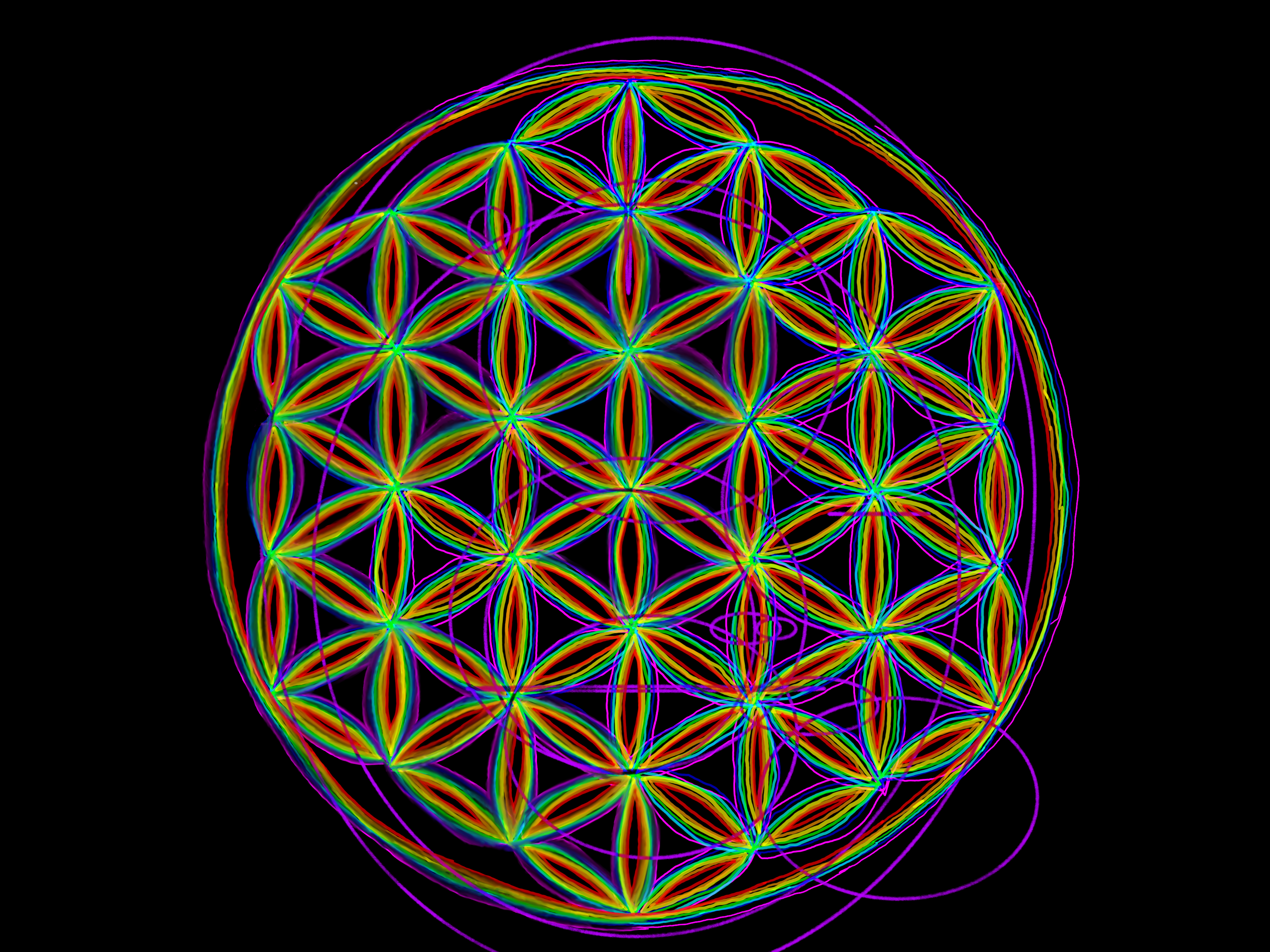 Orbs Appear Tree of life