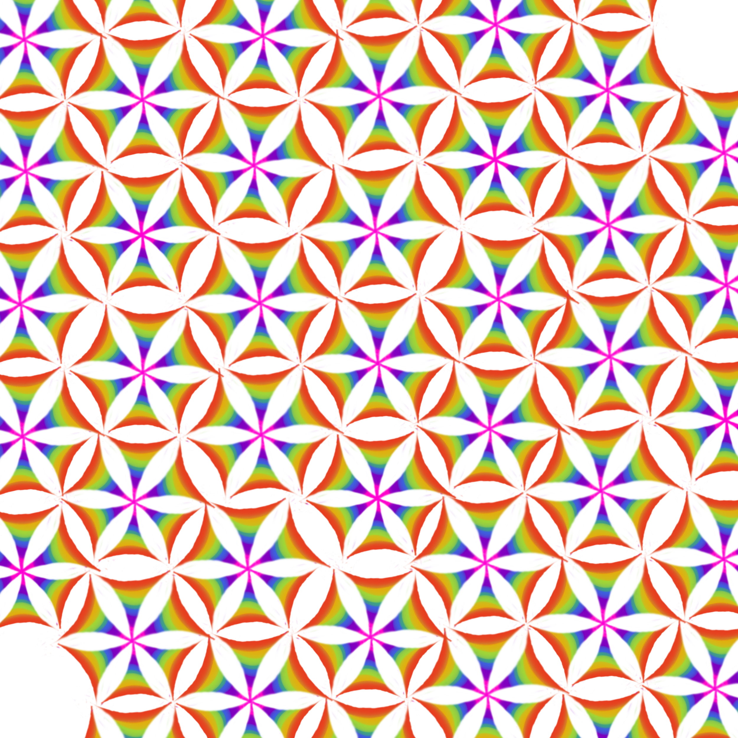 1000003270.png