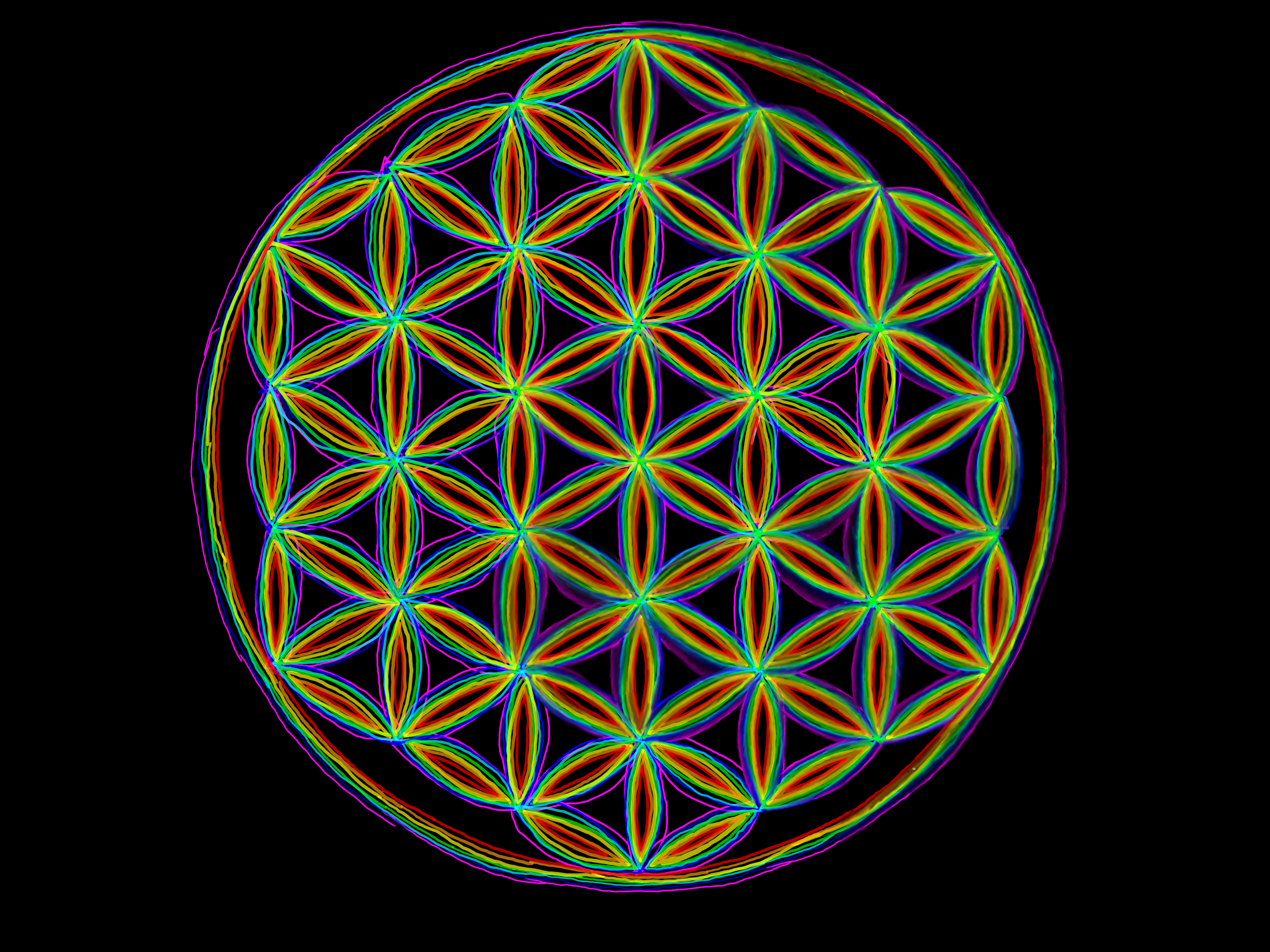 Rainbow - Trace of the true of life