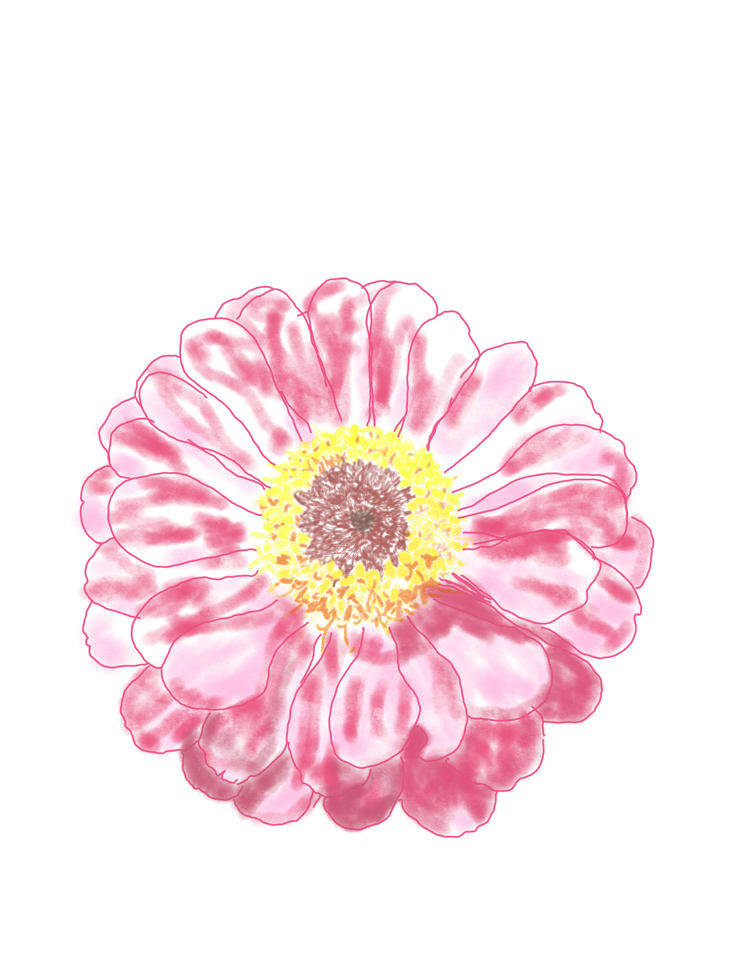 Flower white Background