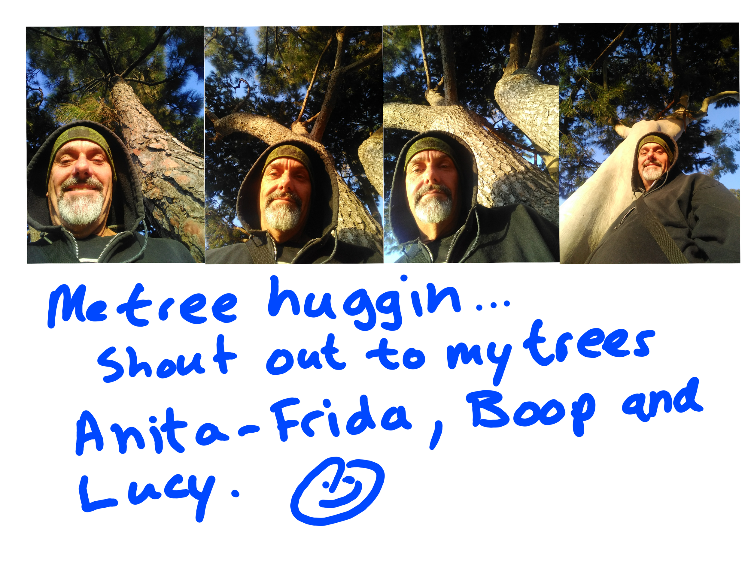 me tree huggin