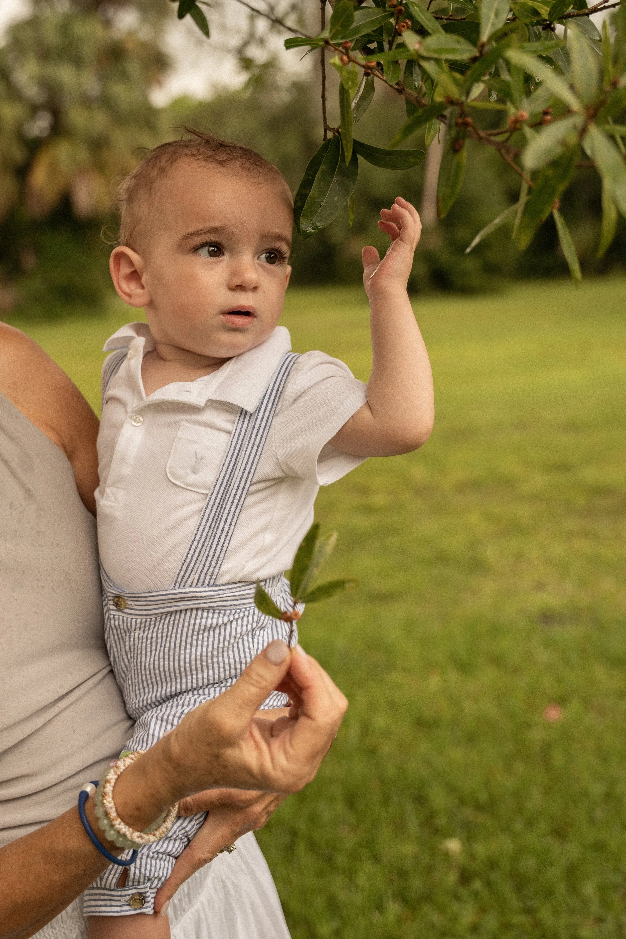 Honey+Haze Photography. A young child with short hair and a white shirt is reaching up and touching a green leafy branch. 