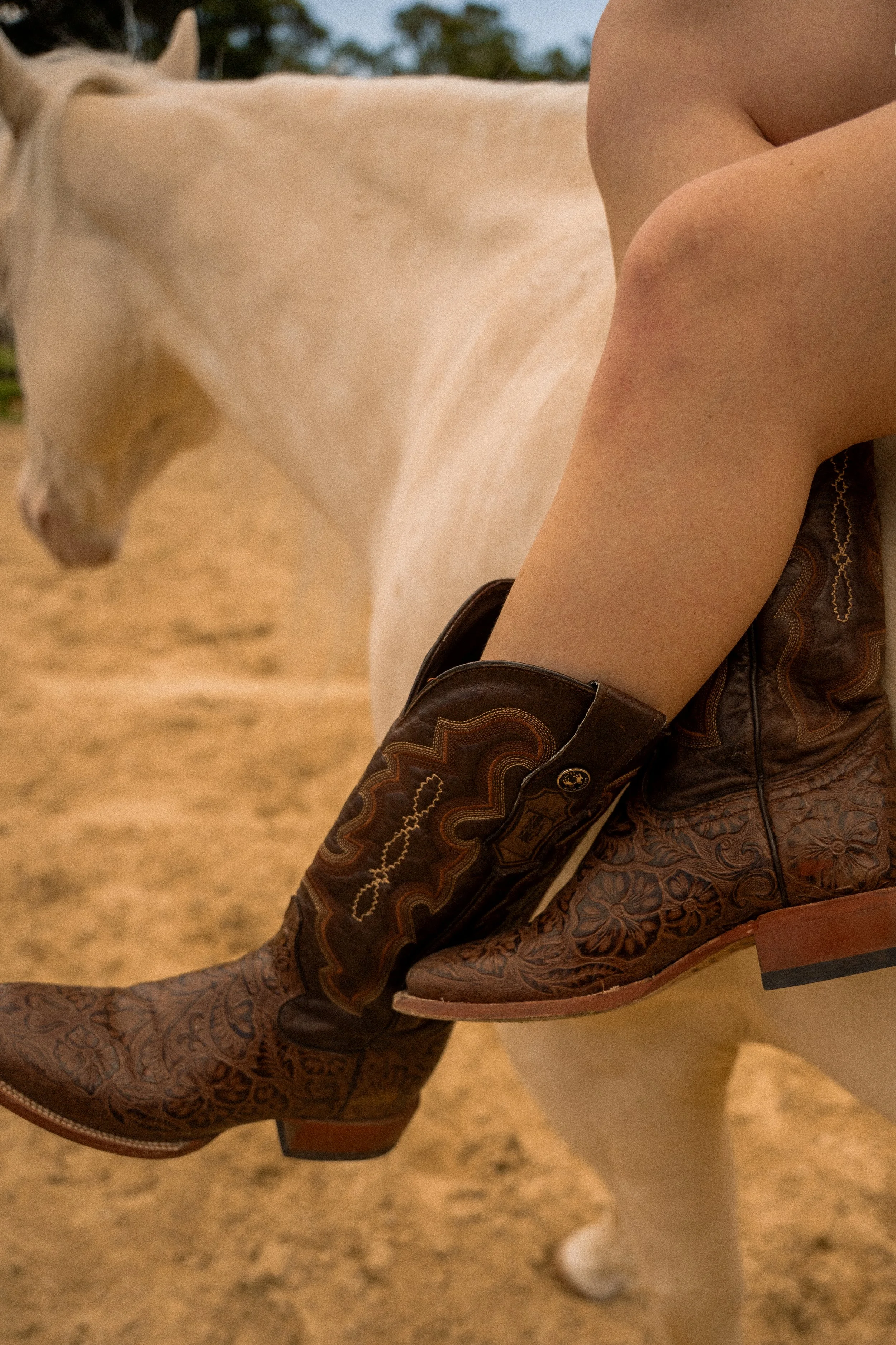 Honey+Haze Photography. Close-up of a person's leg and foot wearing a cowboy boot, with a white horse in the background and a sandy ground.