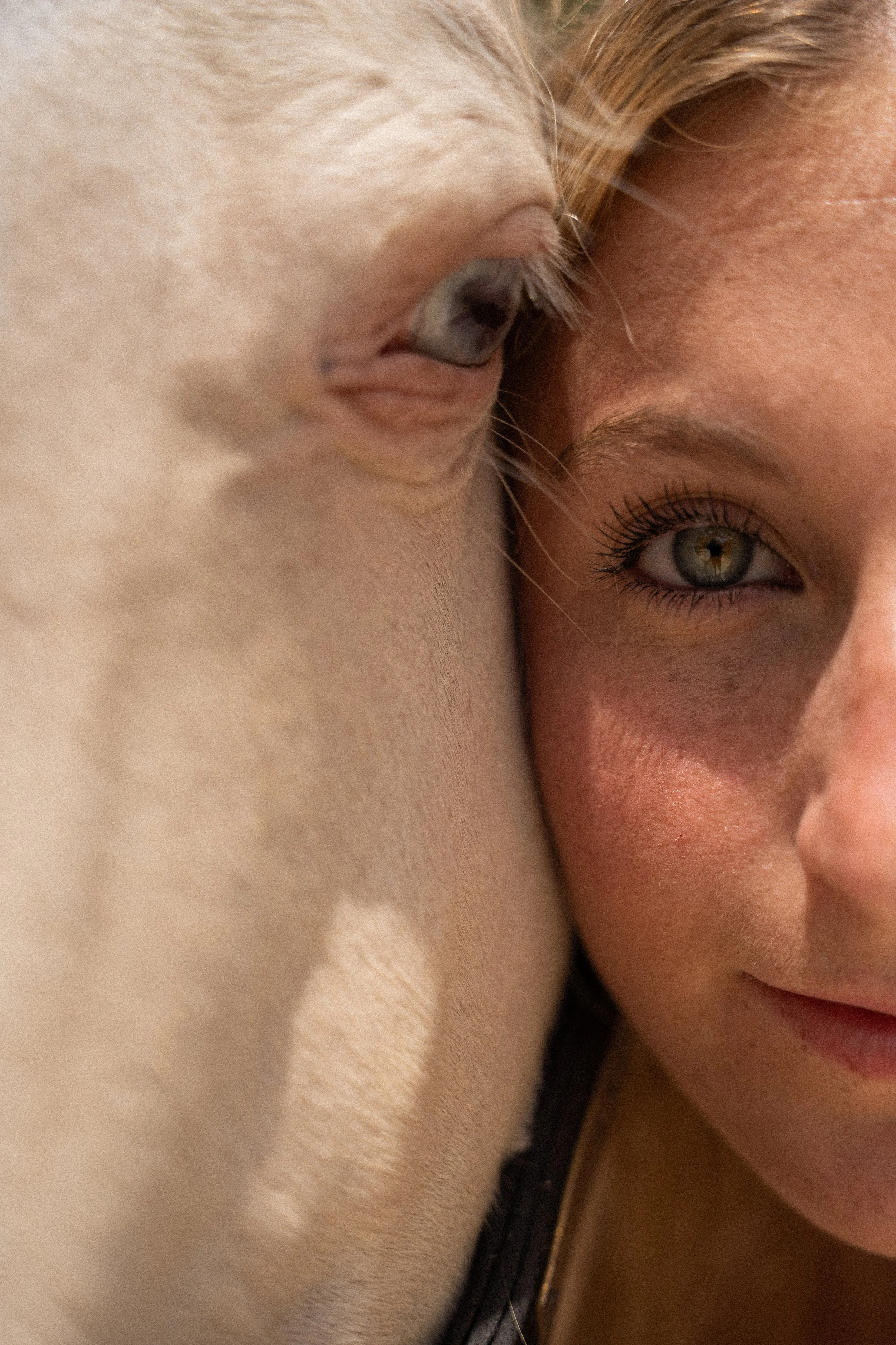 Honey+Haze Photography. Close-up of a woman and a white cat resting their heads together, showing the woman's face with a focus on her eye and the cat's head next to her.