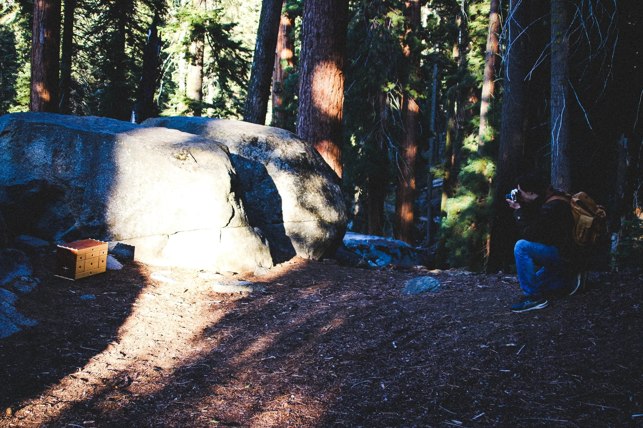 Creature 1-1.jpg