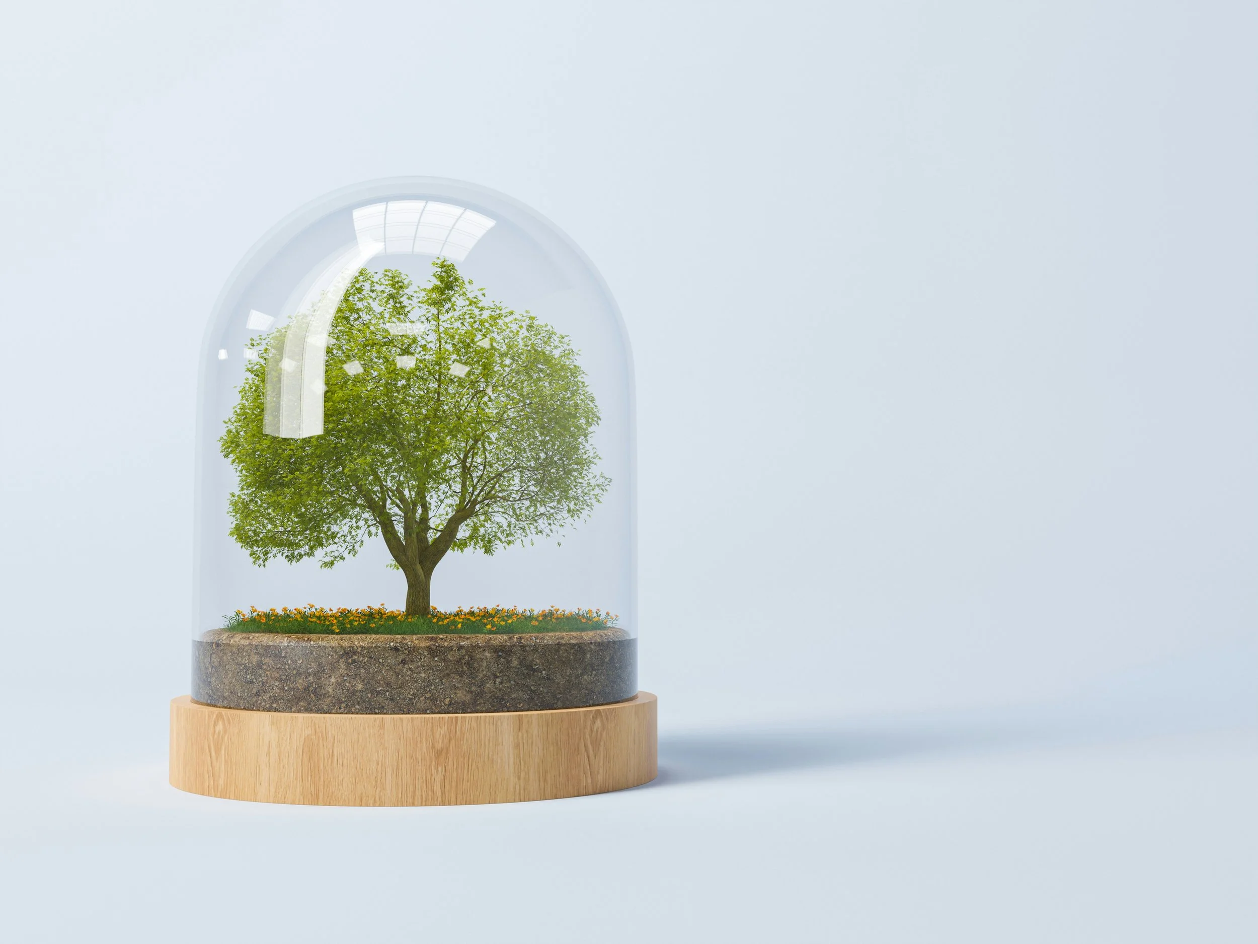 A glass display case with a miniature tree, plants, and soil inside, on a wooden stand against a plain light blue background.