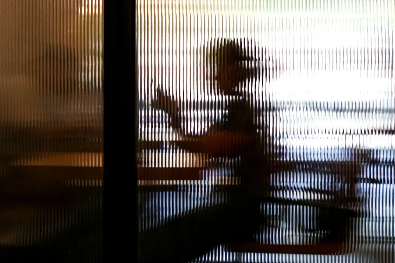 Silhouette of a person behind a textured glass partition, holding a water bottle.