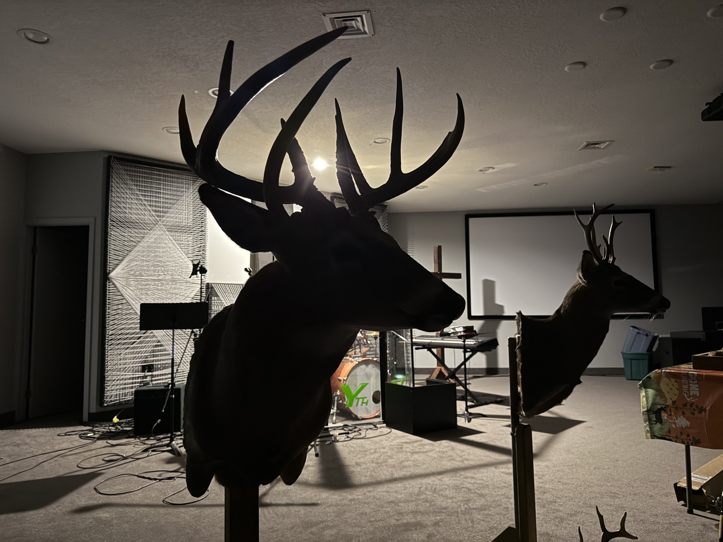 Silhouettes of deer with antlers, illuminated by a light source behind them in a dimly lit indoor setting. Various objects, including a drum, cables, and decorations, are visible in the background.