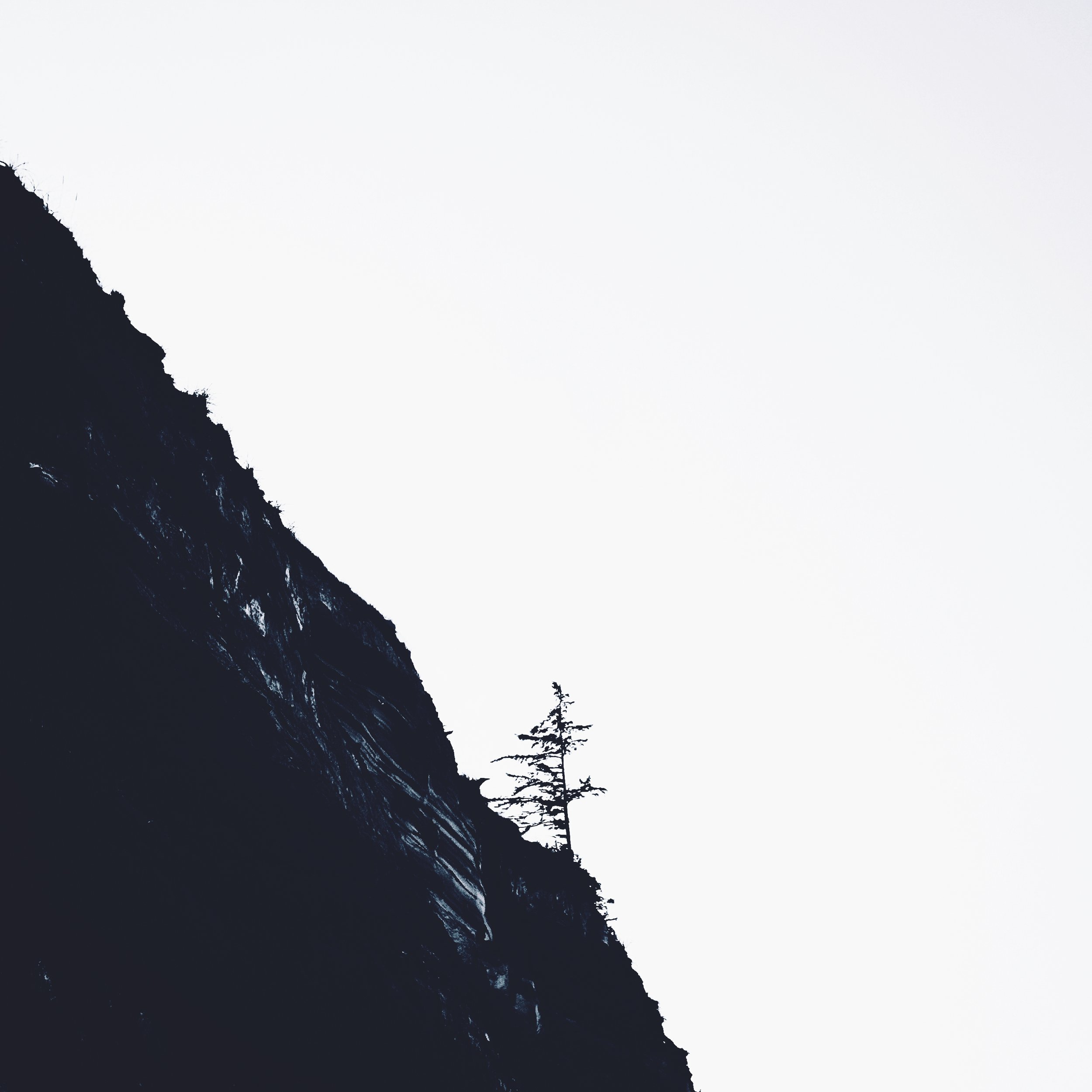 Horizons Project