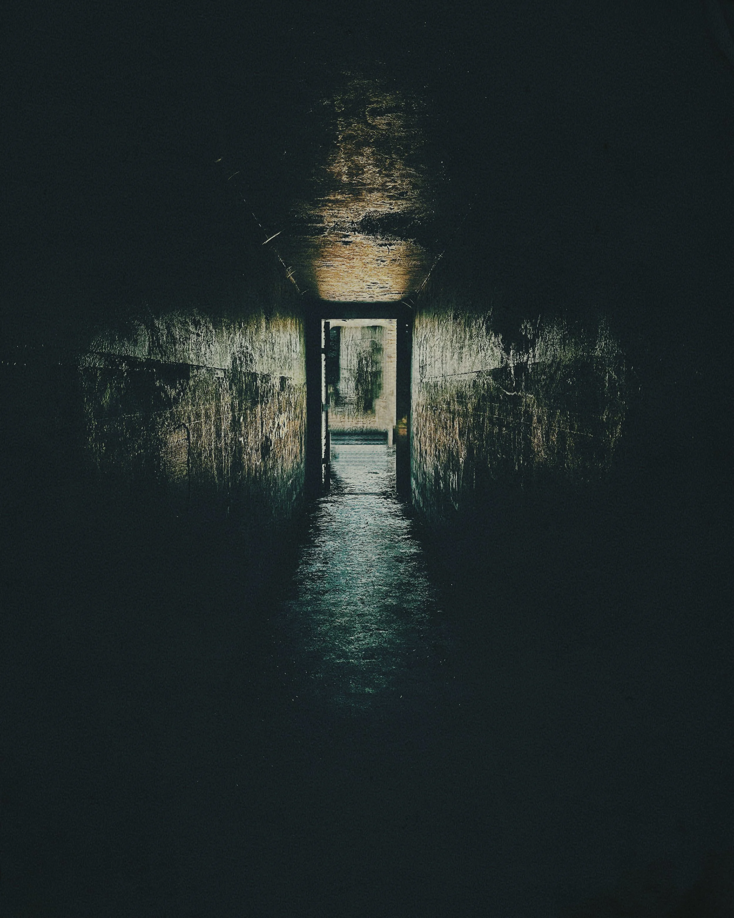Portals Project