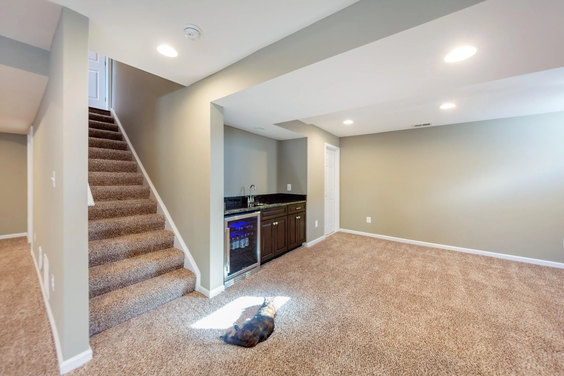 Basement Finishing