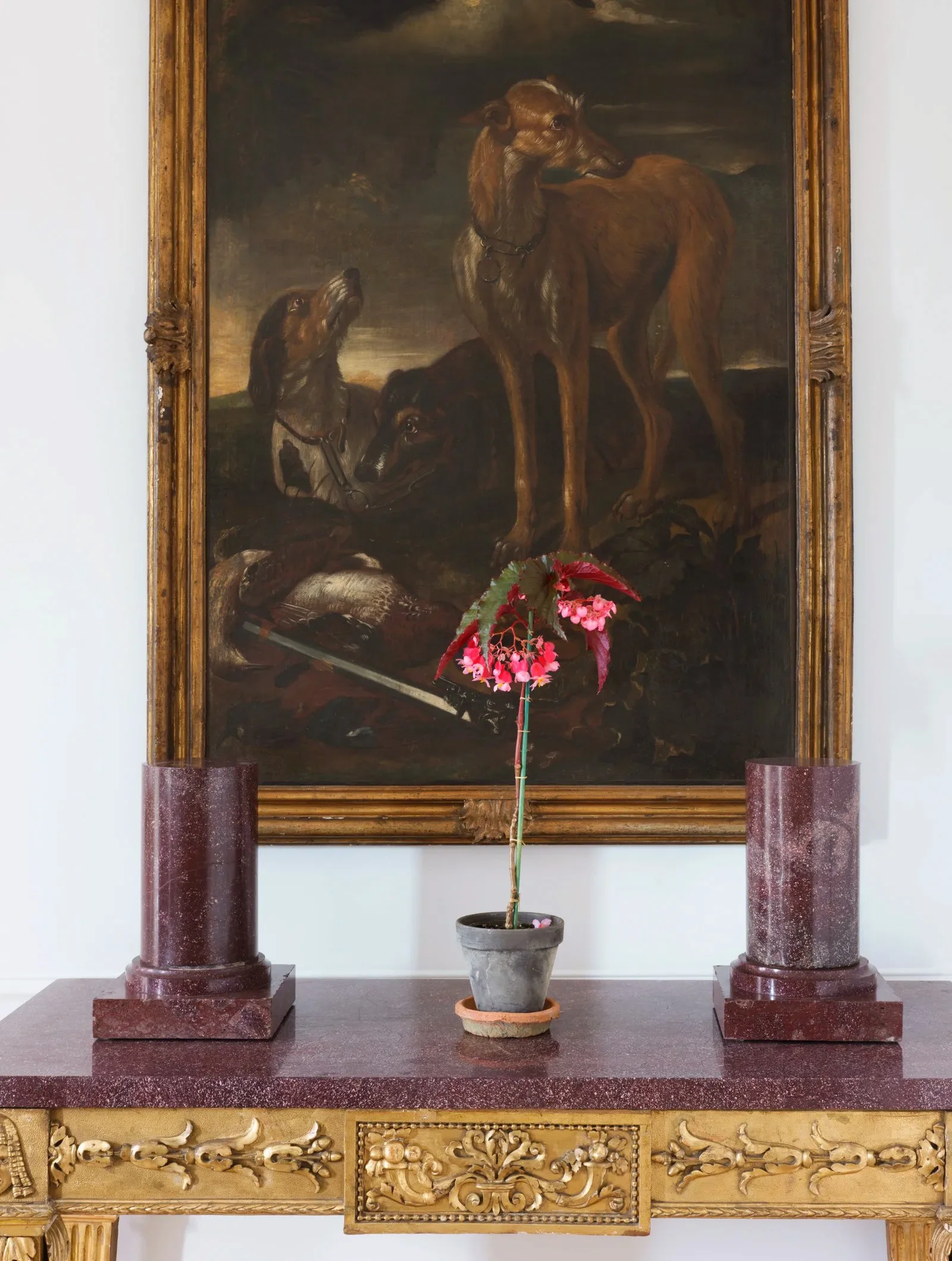 Jessica Sailer Home 1.jpg