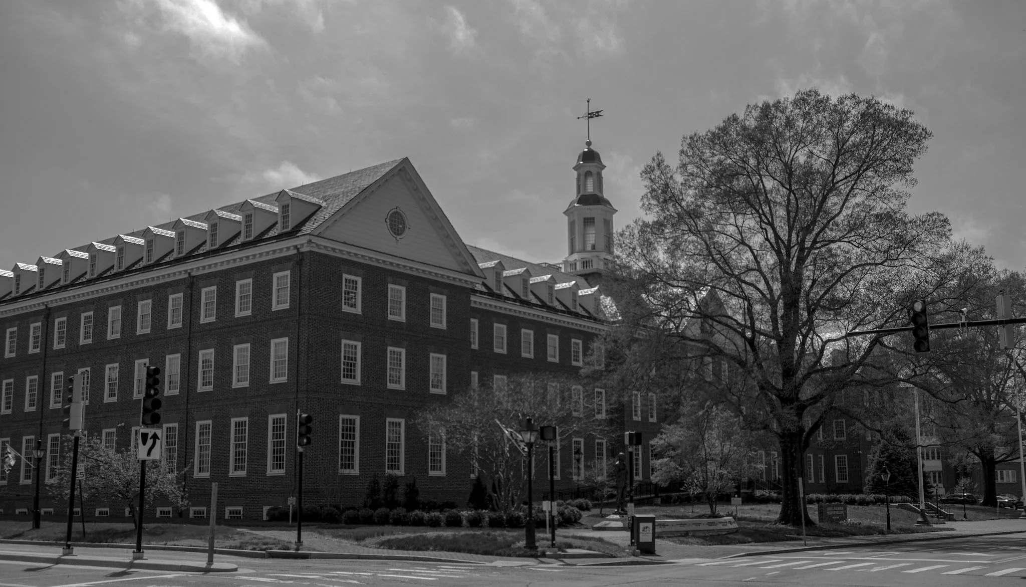 Solanima Silver Annapolis .jpg