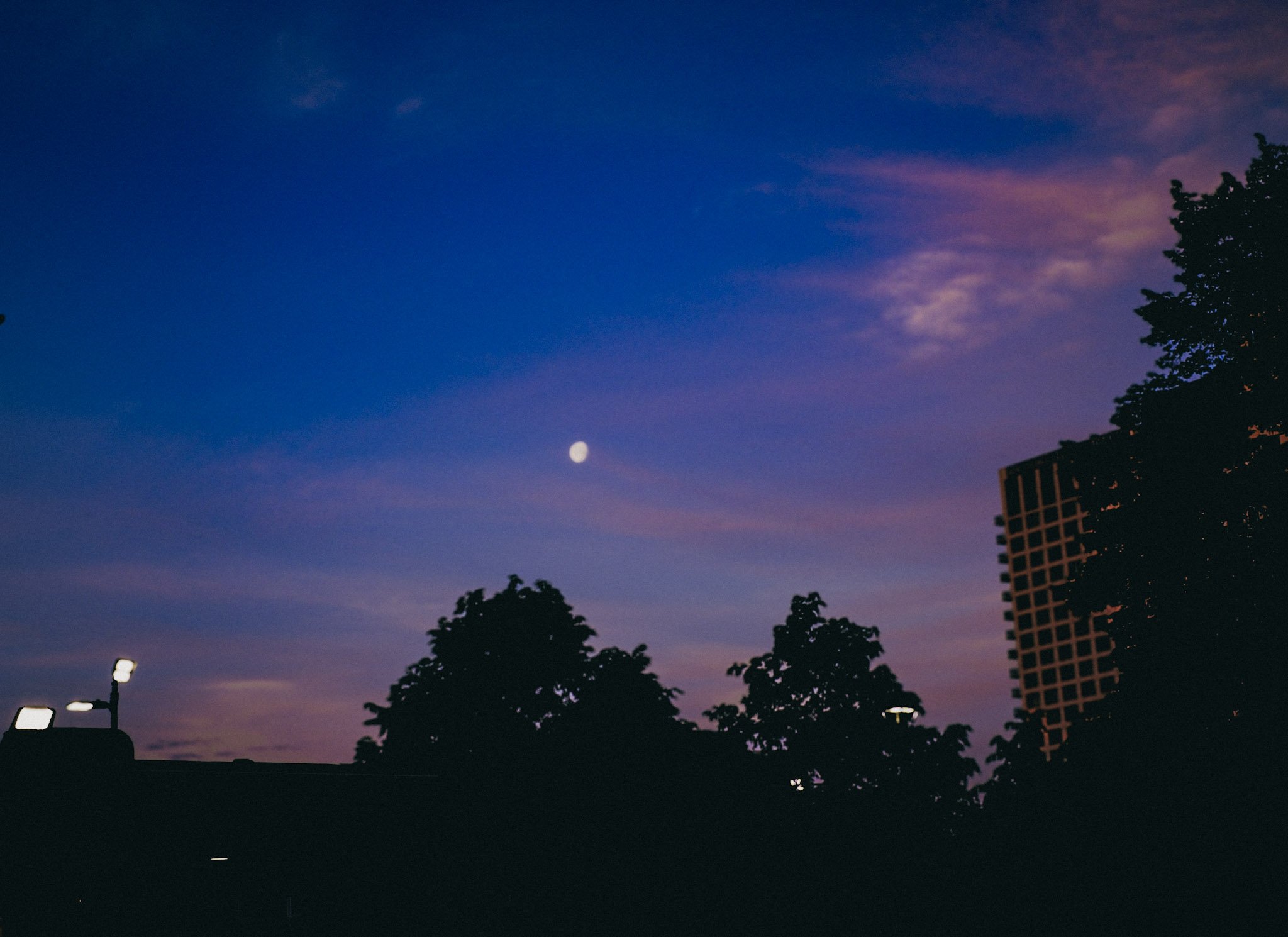 A photo of a twilight sky with a visible moon, silhouetted trees, a building on the right, and streetlights with some clouds tinted pink and purple.
