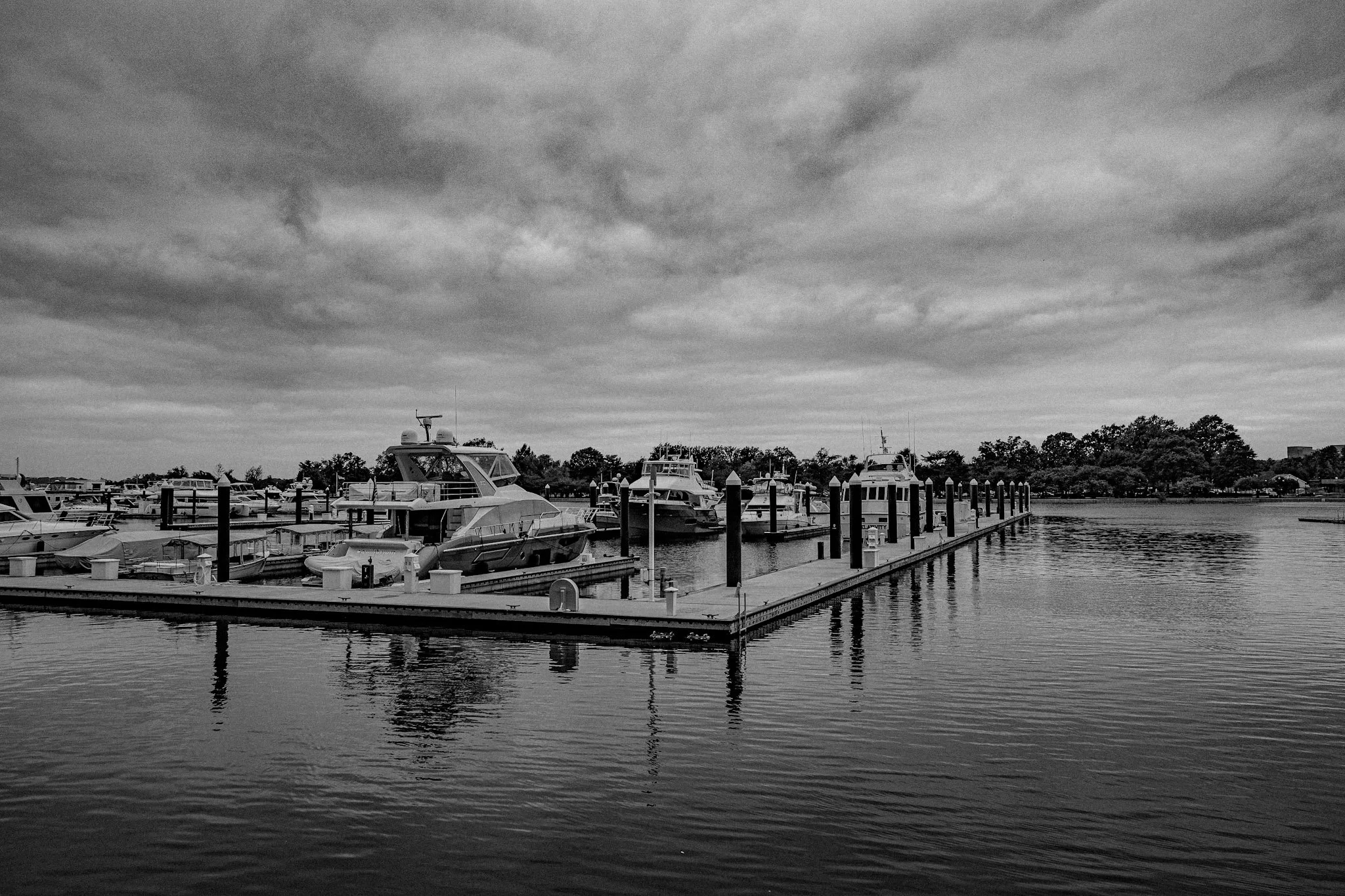 A black and white photo of a marina with several boats docked at a pier, calm water reflecting the boats, and trees and cloudy sky in the background.