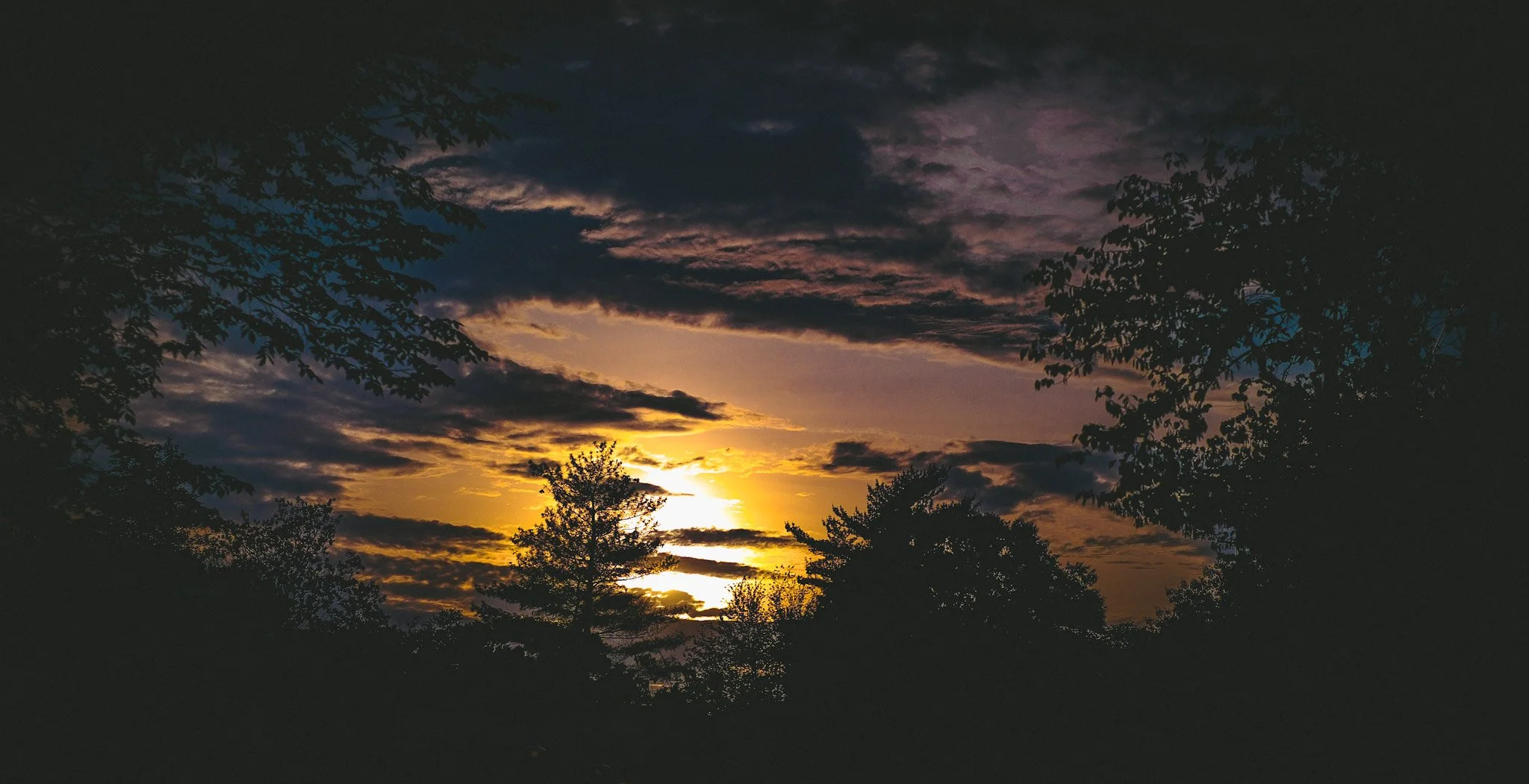 Sunset with dark clouds, silhouetted trees framing the sky.