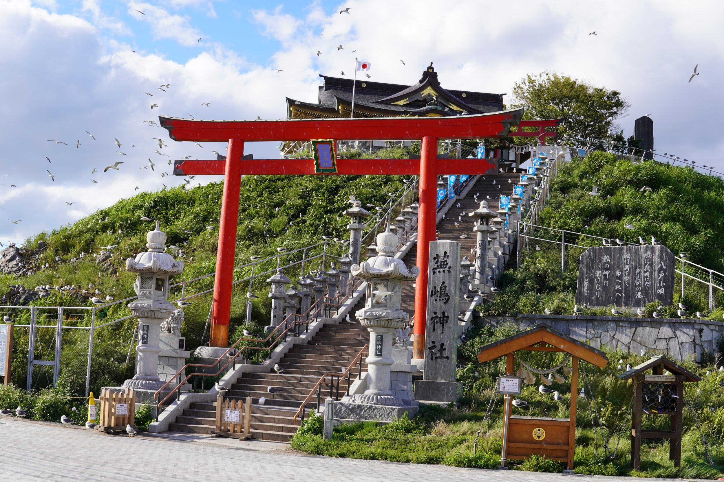 鳥が flying している神社の境内。赤い鳥居と石の灯籠、階段が中央にあり、背景に木と青空。