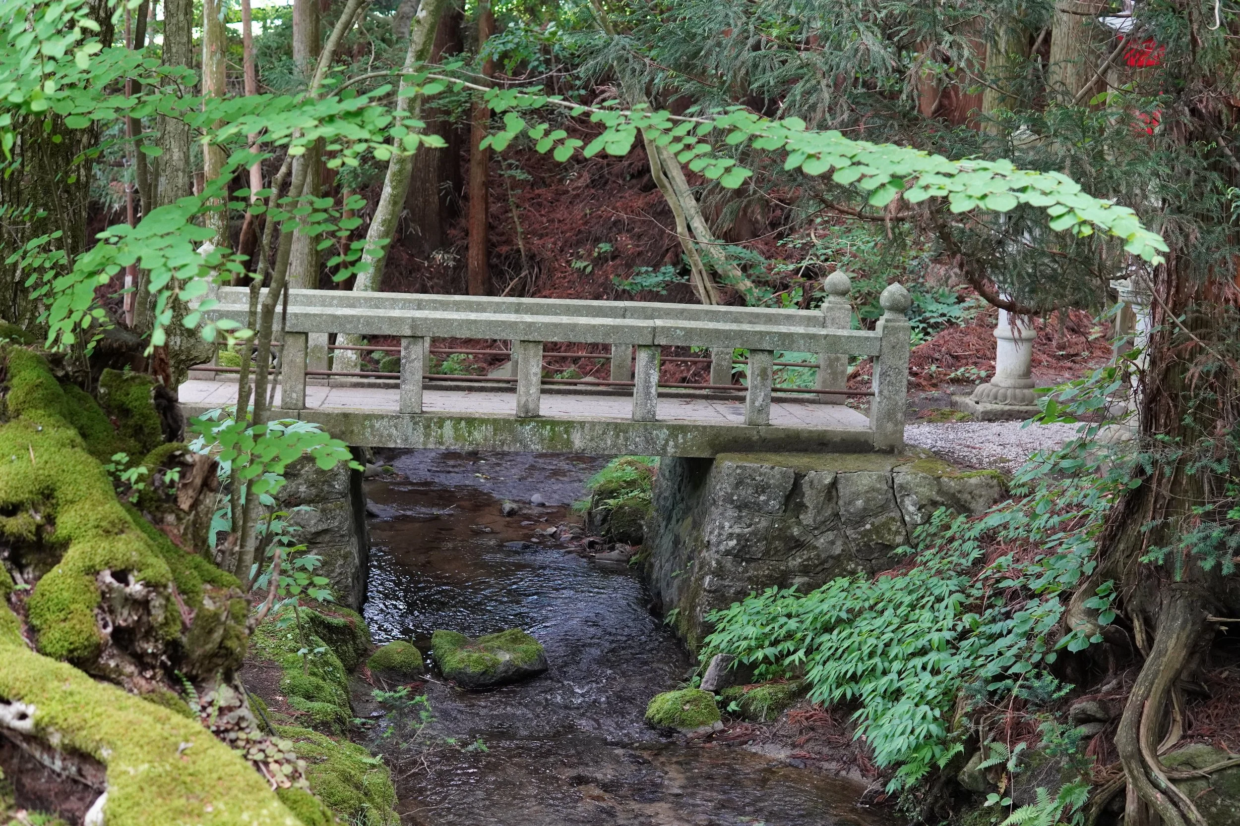 森の中にある小さな石の橋と流れる小川、周囲は緑の植物と木々で満たされている風景