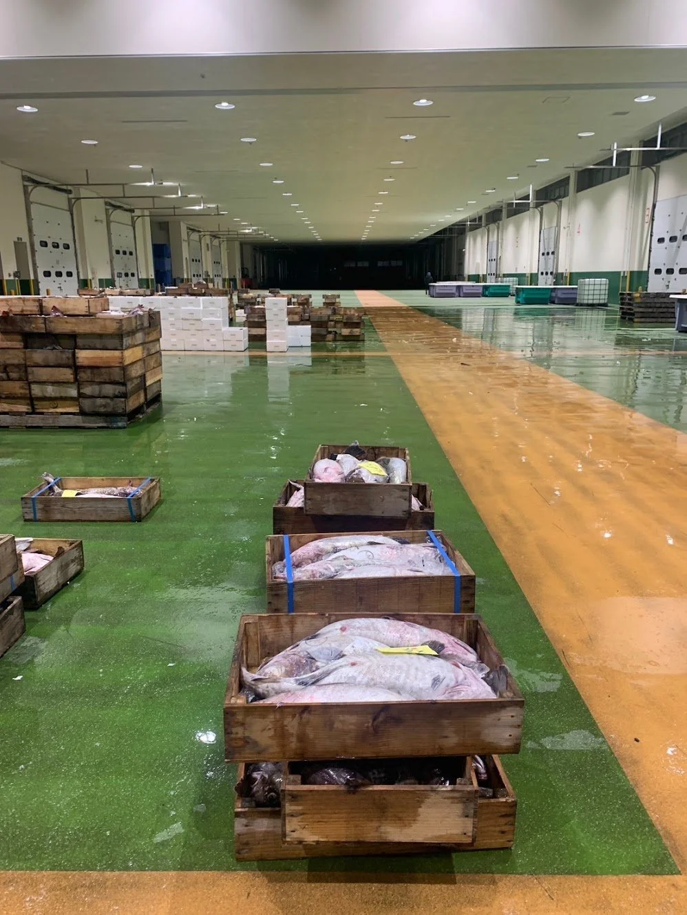 工場の倉庫内に魚の入った木箱が並べられている。