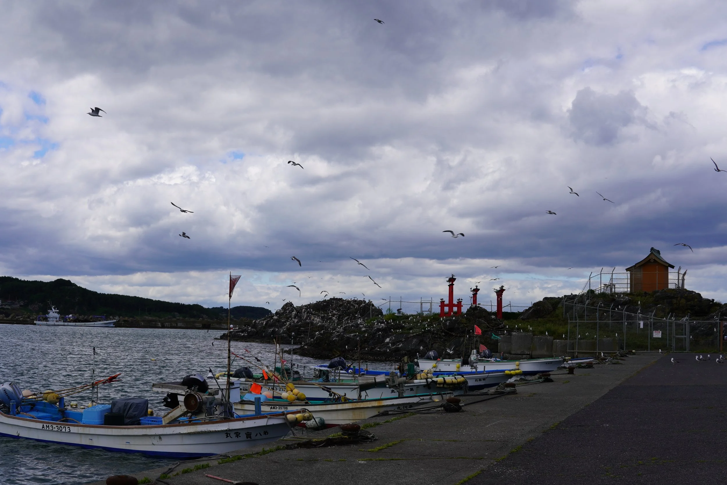 漁港の岸辺に停泊しているボートと海鳥が空を飛ぶ風景。背景に山と小さな建物が見える。