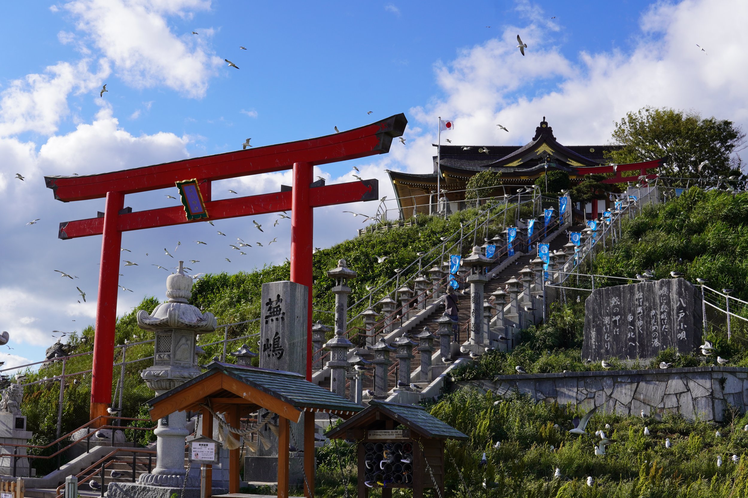 青空と白い雲の下に赤い鳥居と神社の建物、鳥が飛んでいるシーン。階段や灯篭も見える神社風景。