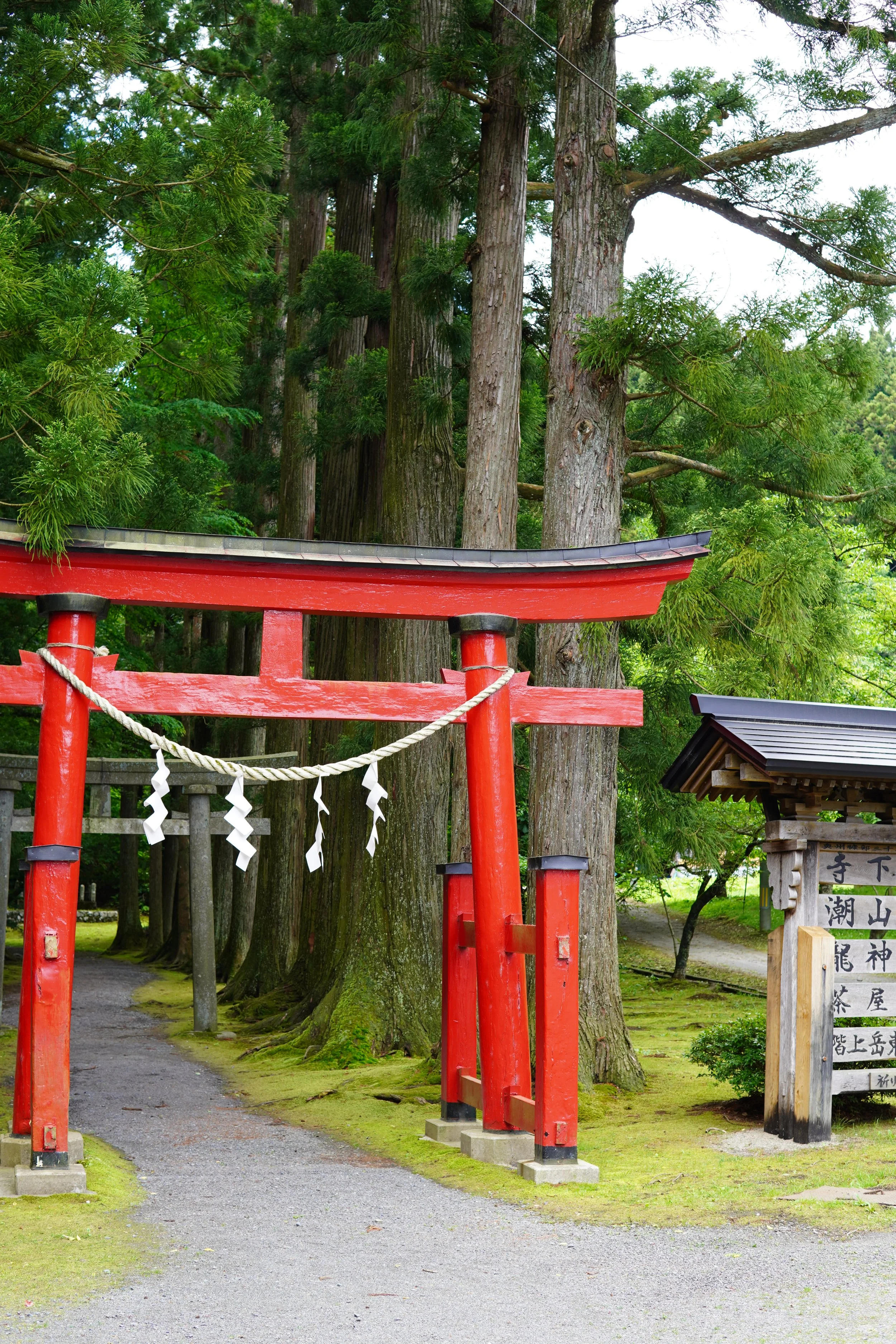 神社の鳥居と木々の景色
