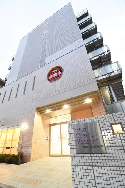 Wild Cherry Blossom Hostel