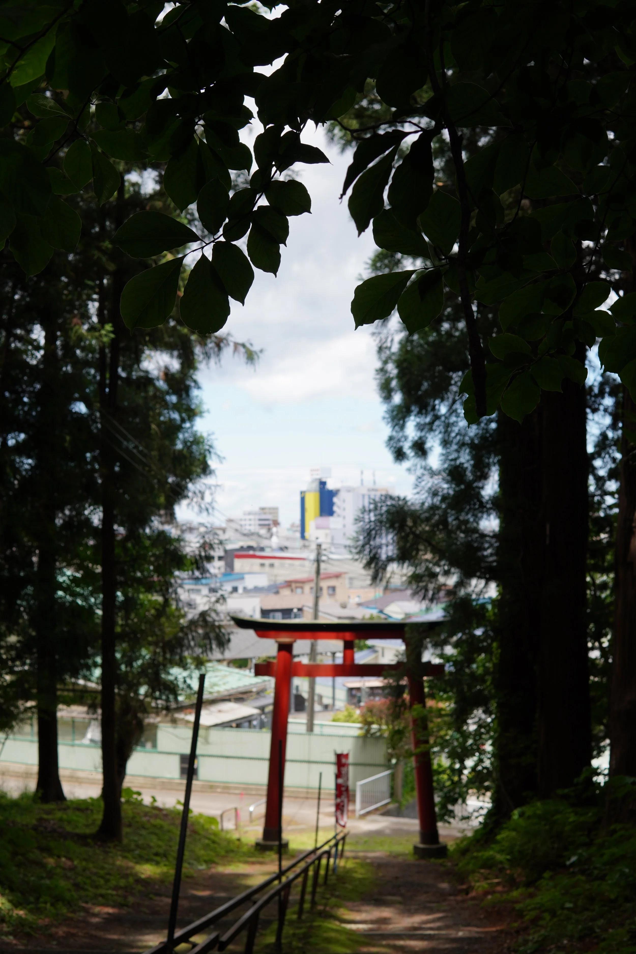 葉のある木の下に赤い鳥居と市街地の建物が見える風景