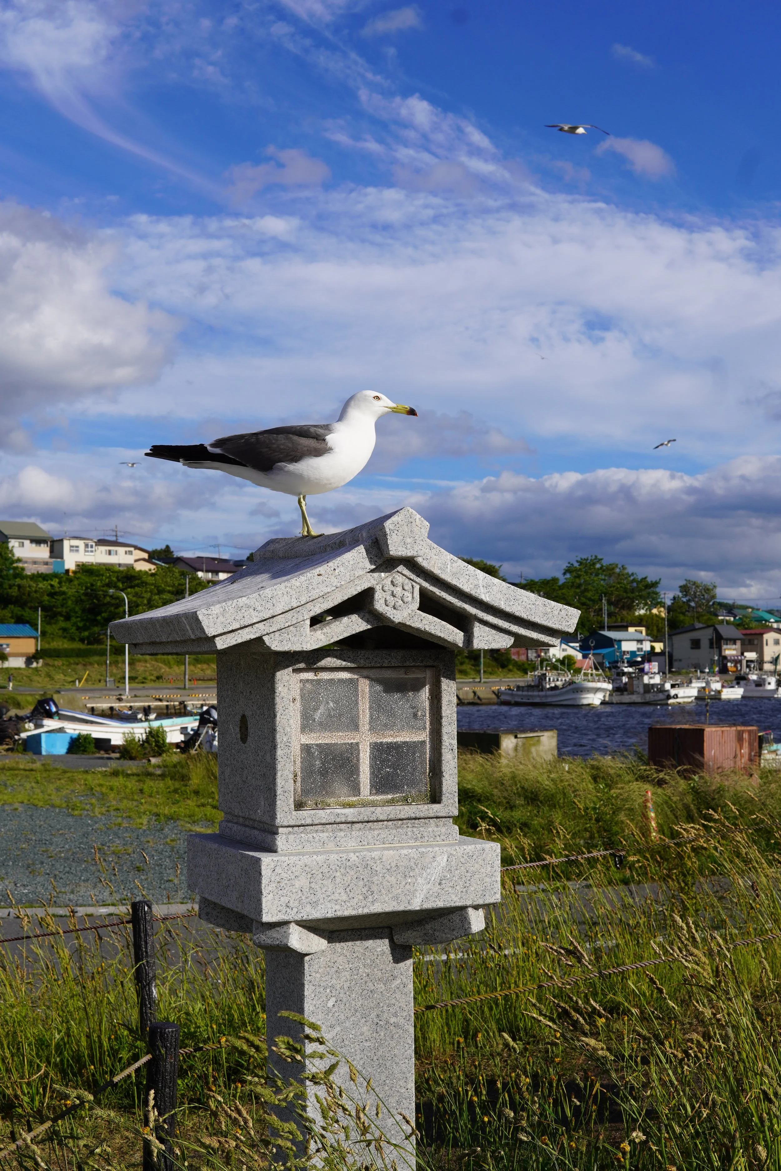 青空の下に白い鳥が立っている石の祠の上にとまっている。背景には住宅と港、ボートや木々、青空と白い雲が見える。