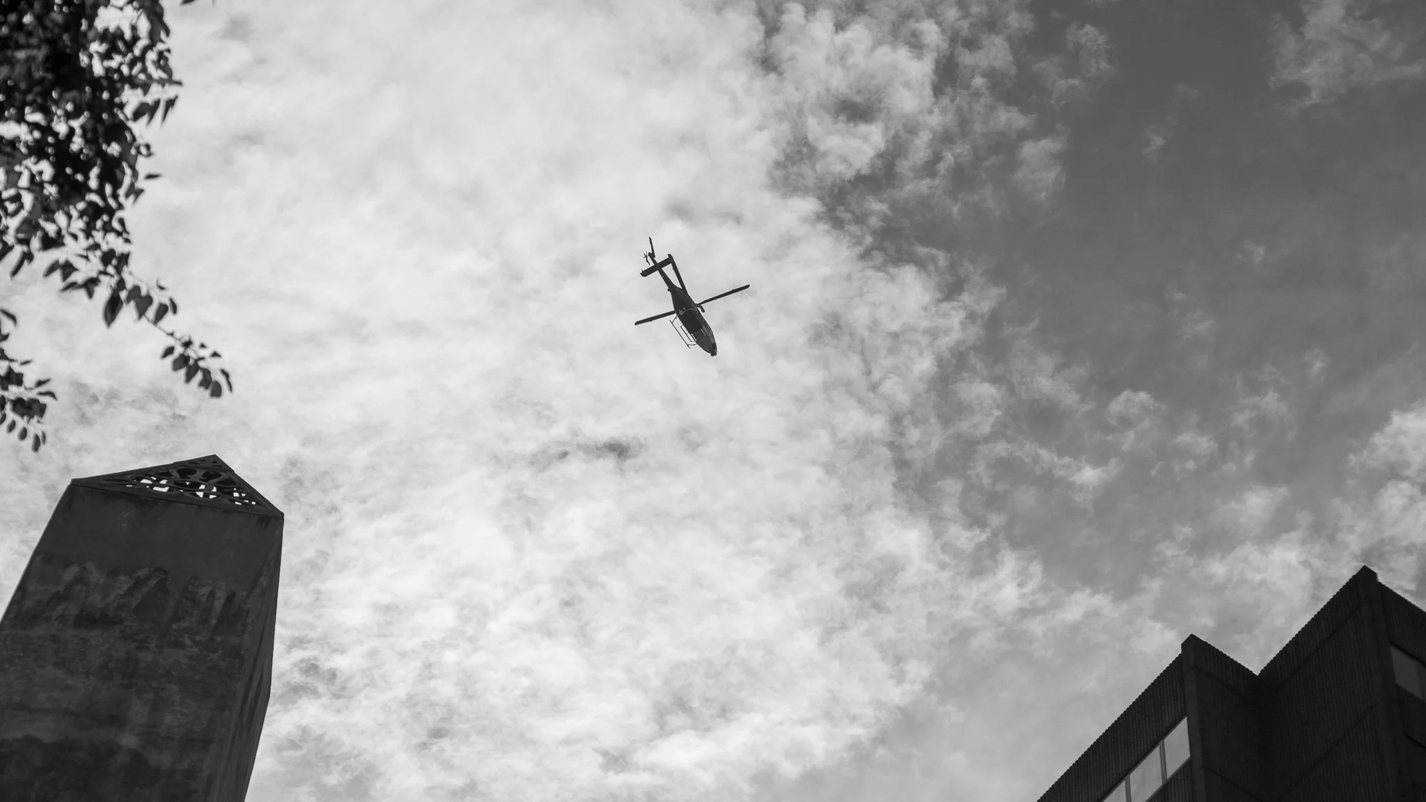 DSC_6890.jpg