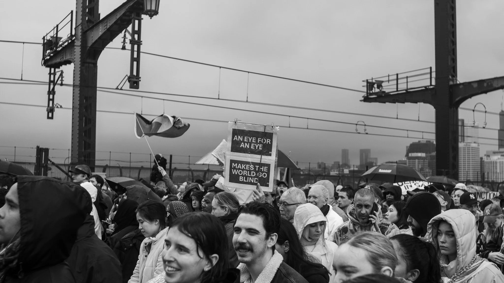 DSC_3782.jpg