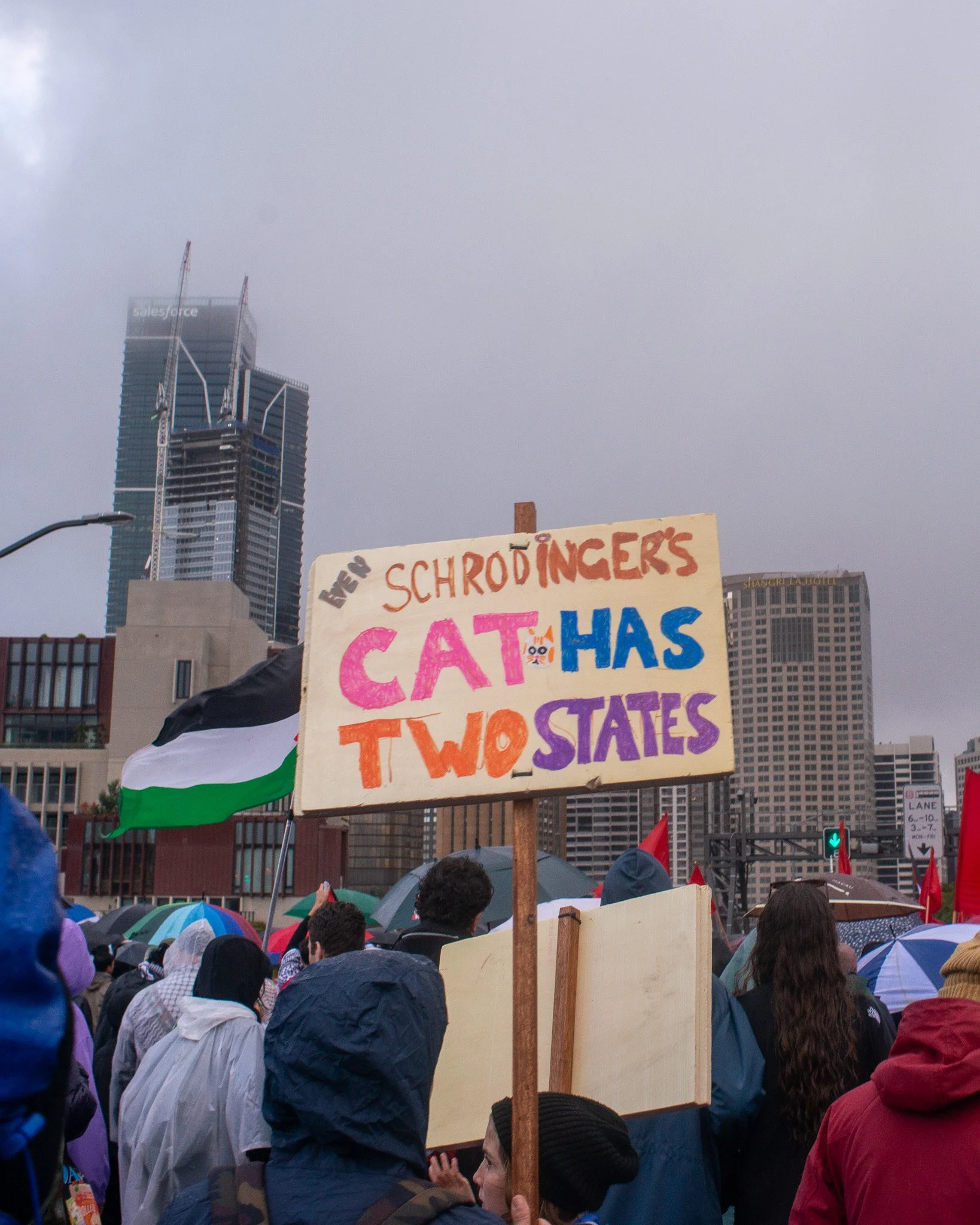 DSC_4378.jpg