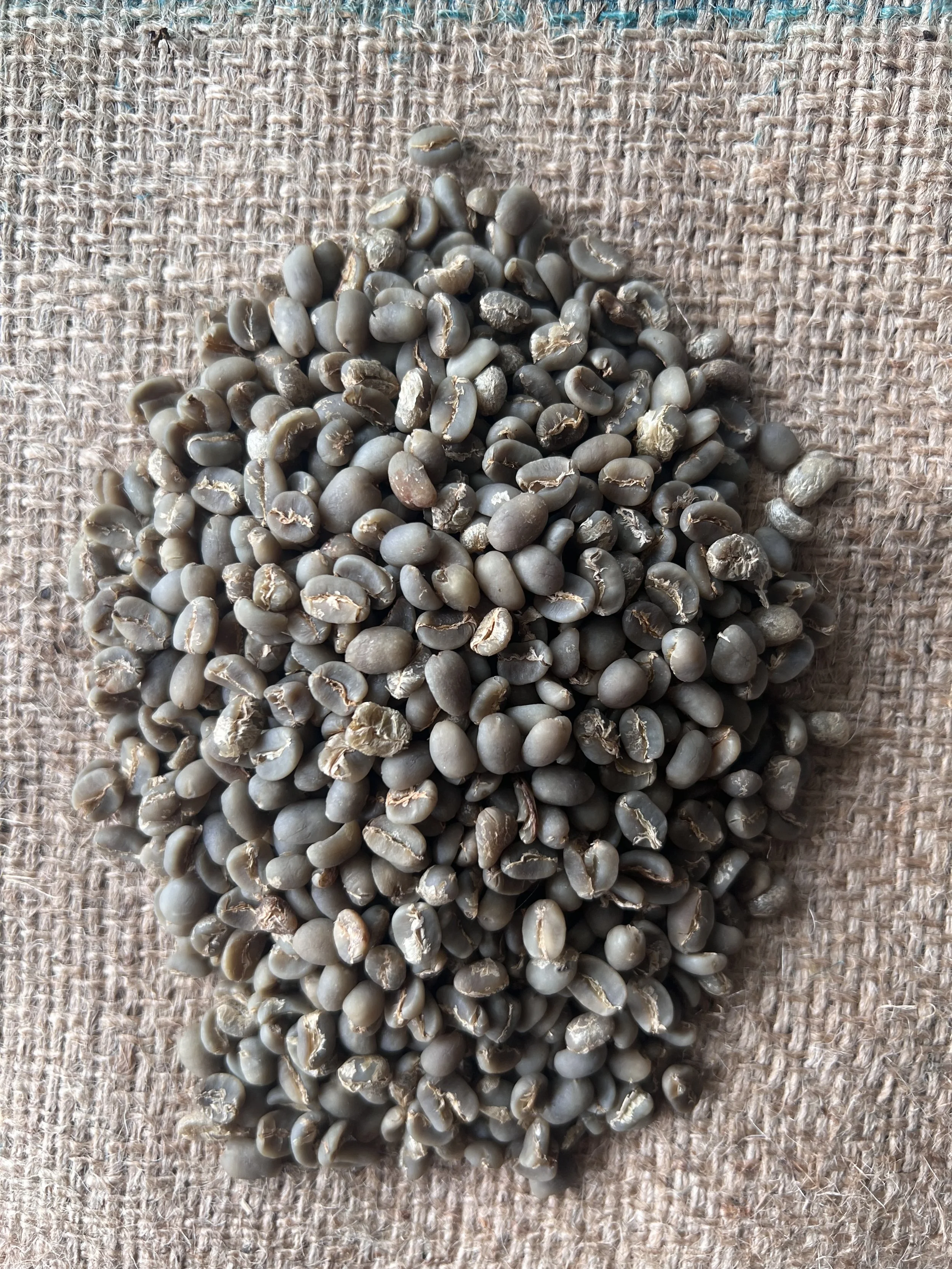 Grade 1 green arabica kintamani coffee beans Bali export