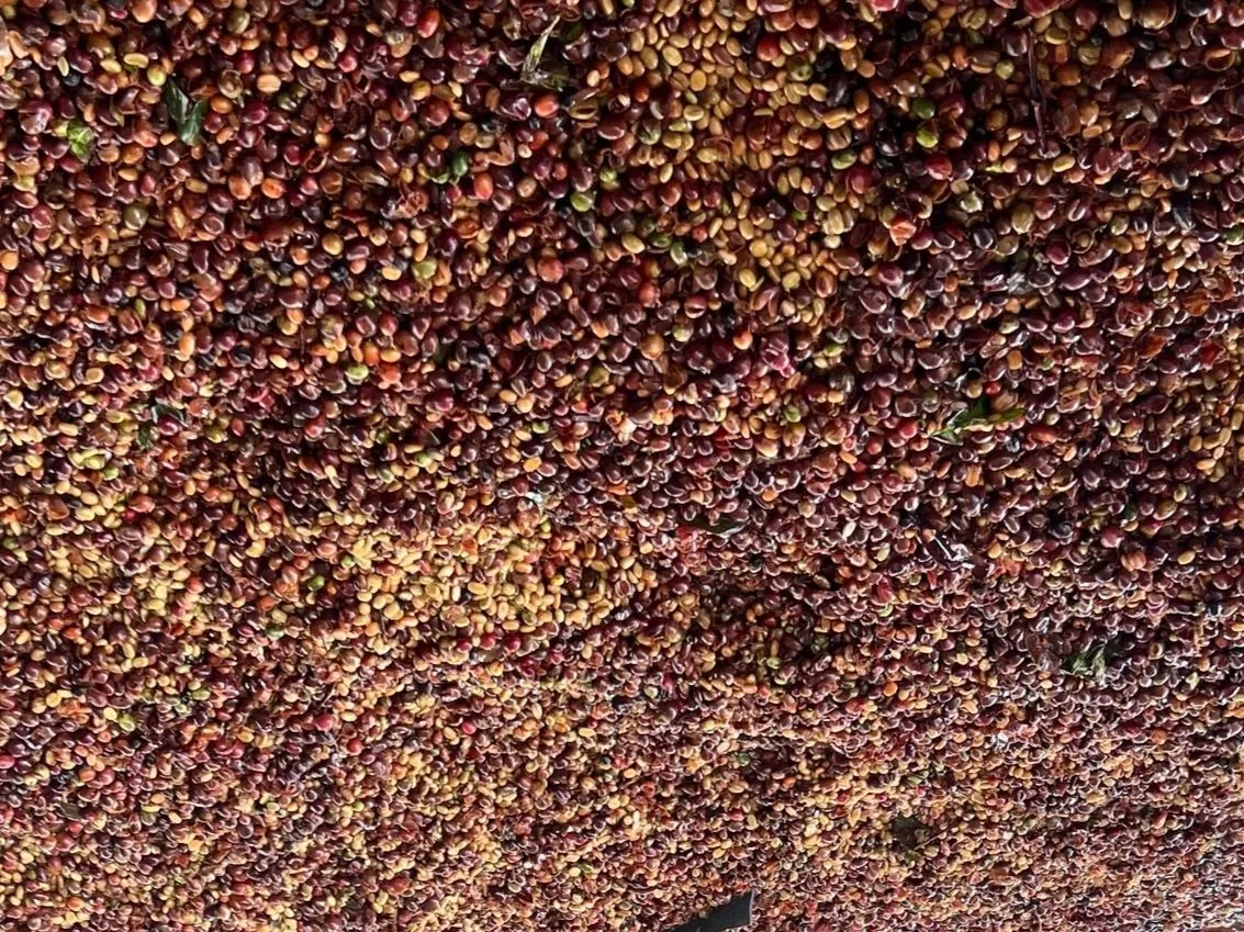 red cherry hull wash