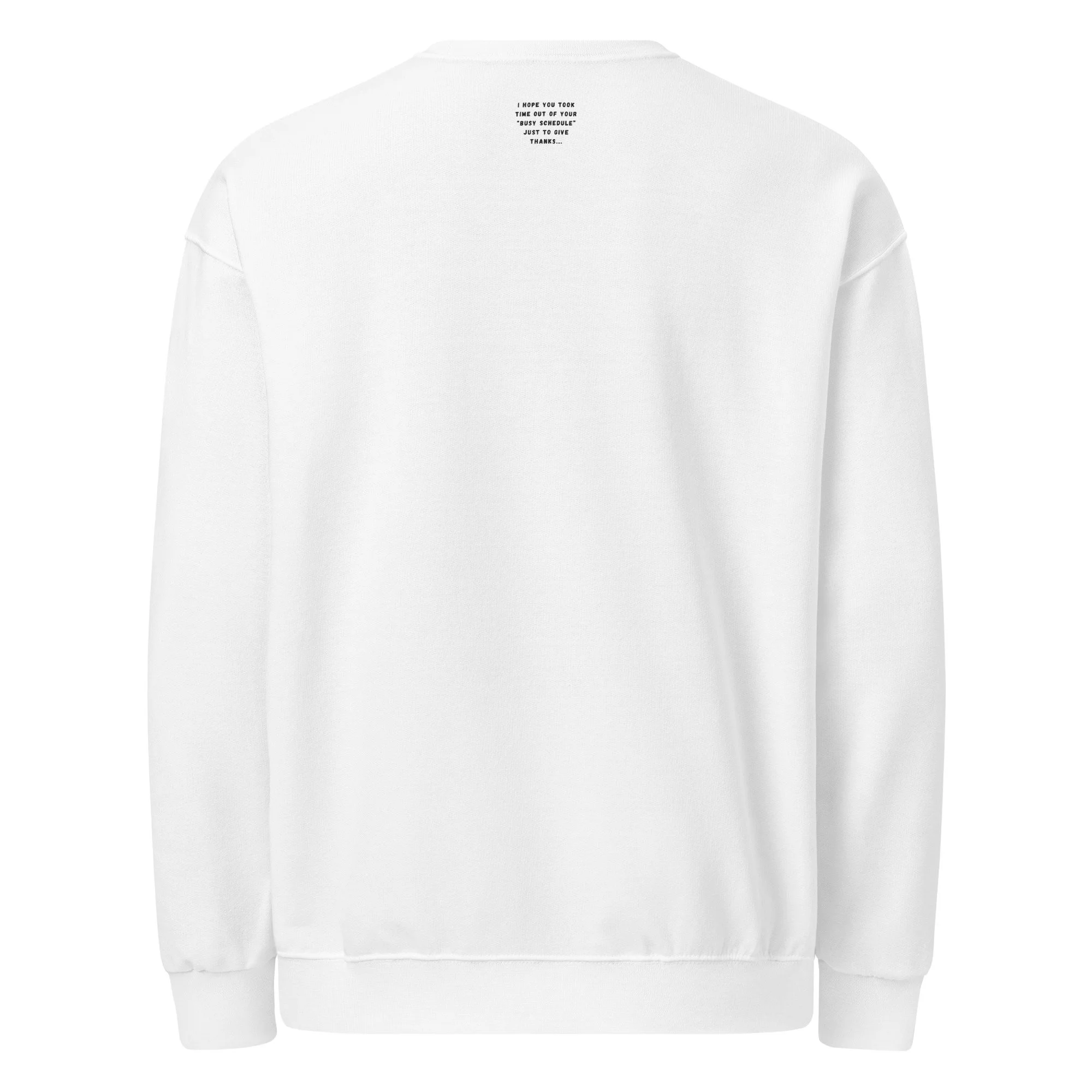 classic-unisex-crew-neck-sweatshirt-white-back-6786da72a2c07.jpg