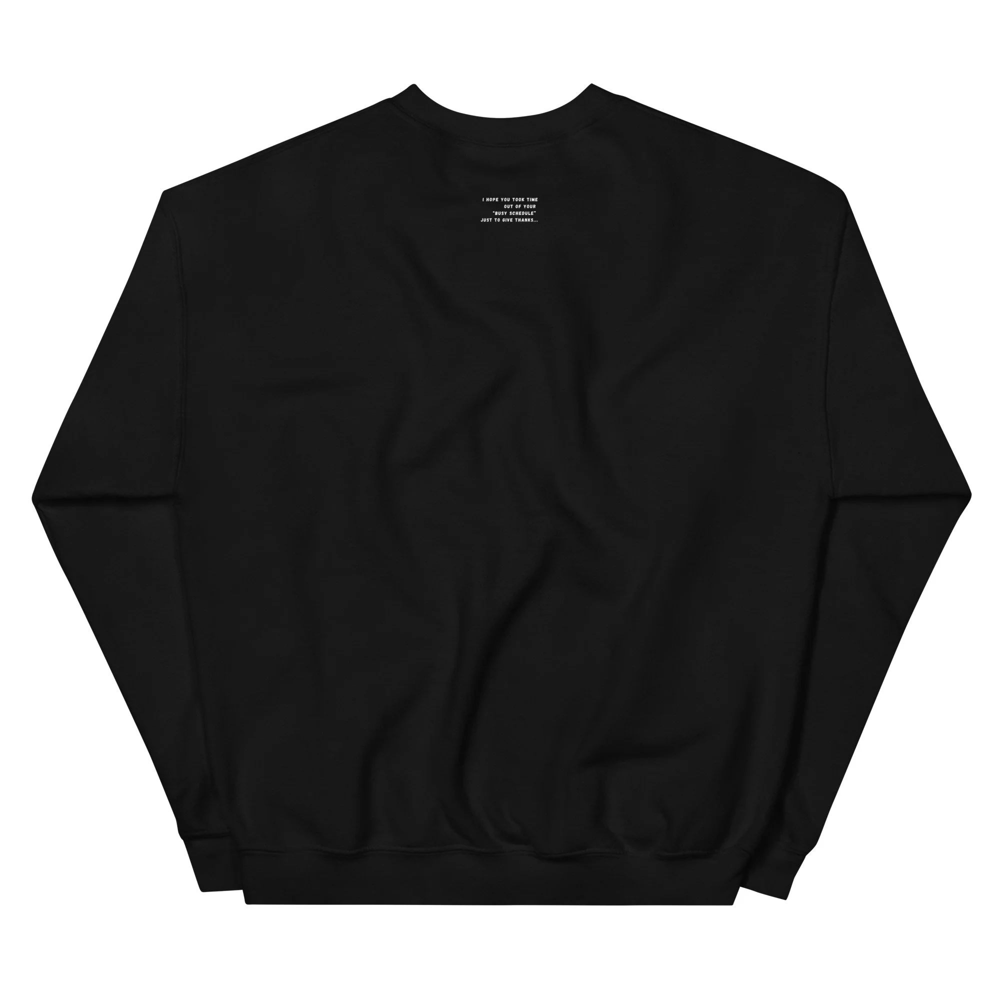 unisex-crew-neck-sweatshirt-black-back-6787d13c52007.jpg