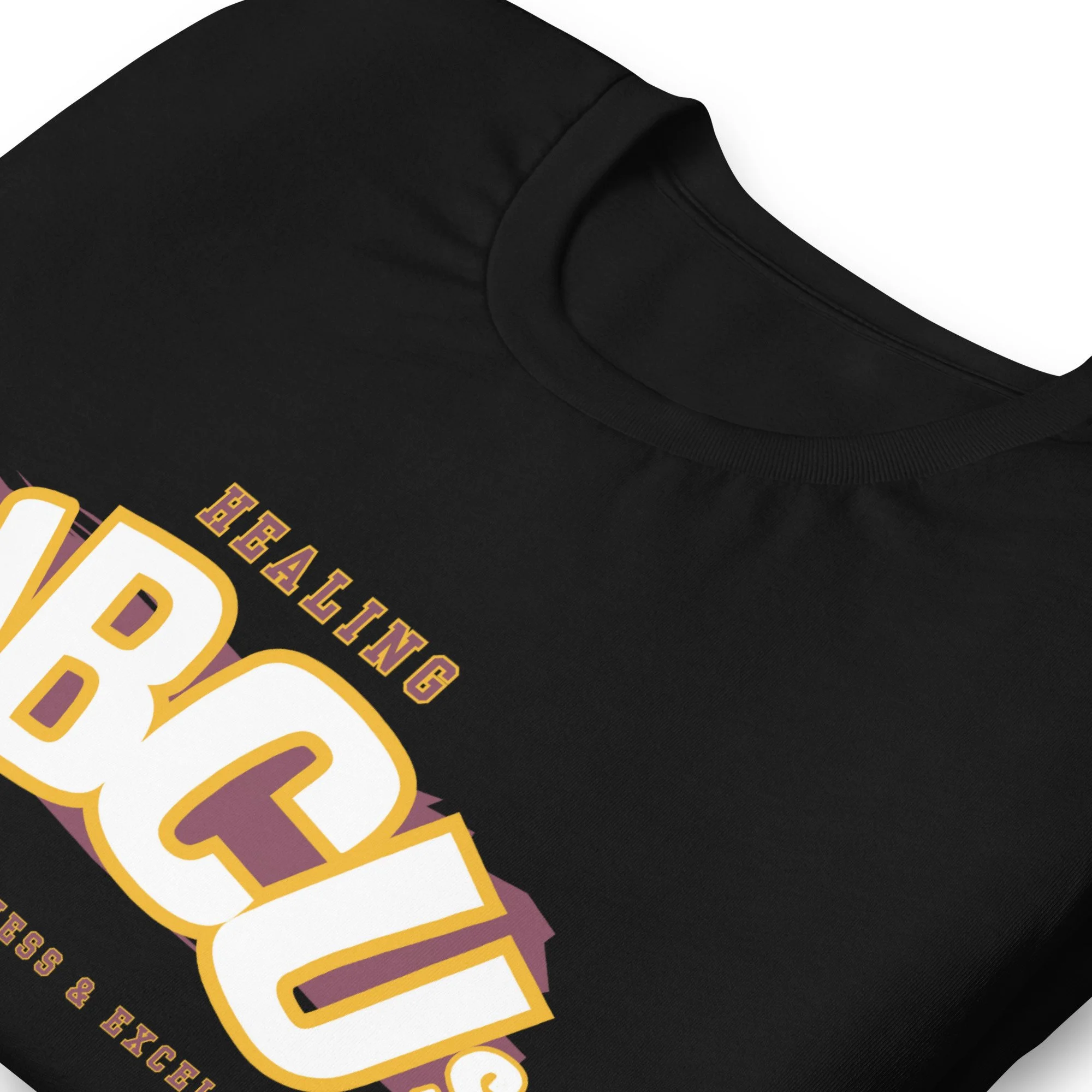 unisex-staple-t-shirt-black-zoomed-in-678826a87b109.jpg