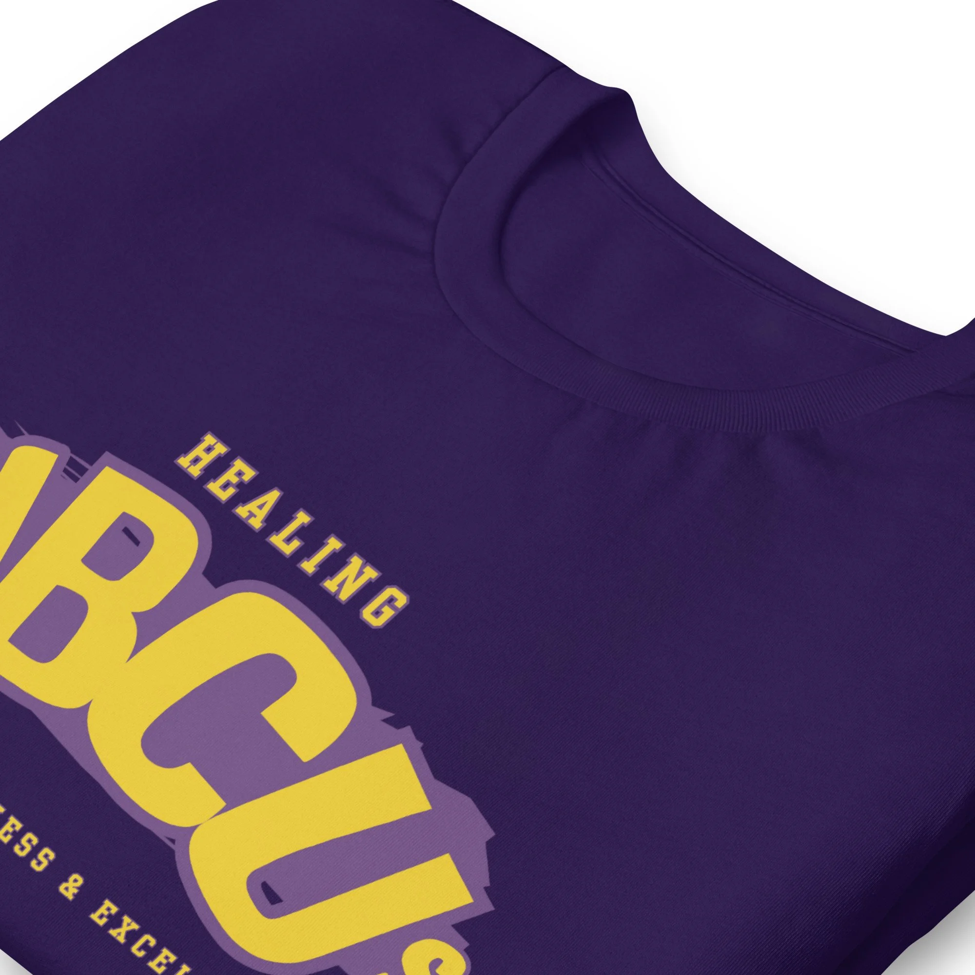 unisex-staple-t-shirt-team-purple-zoomed-in-67882da81c568.jpg