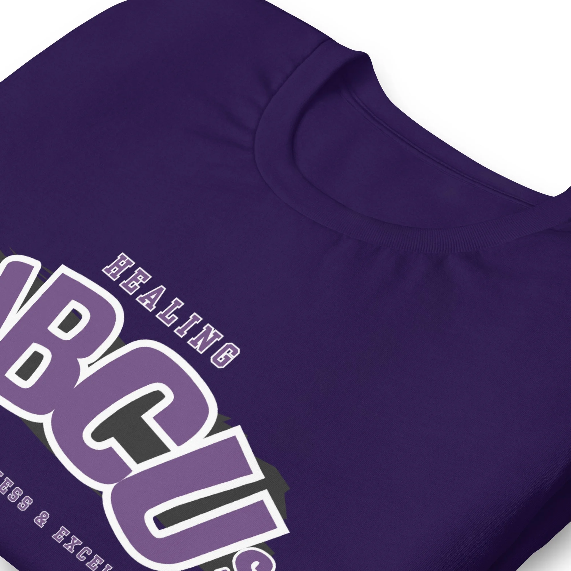 unisex-staple-t-shirt-team-purple-zoomed-in-67882ebbc57e8.jpg