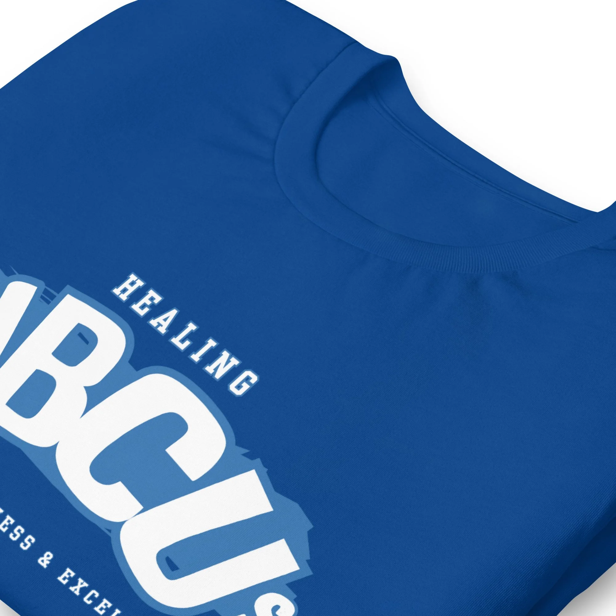 unisex-staple-t-shirt-true-royal-zoomed-in-6788332ed89c0.jpg