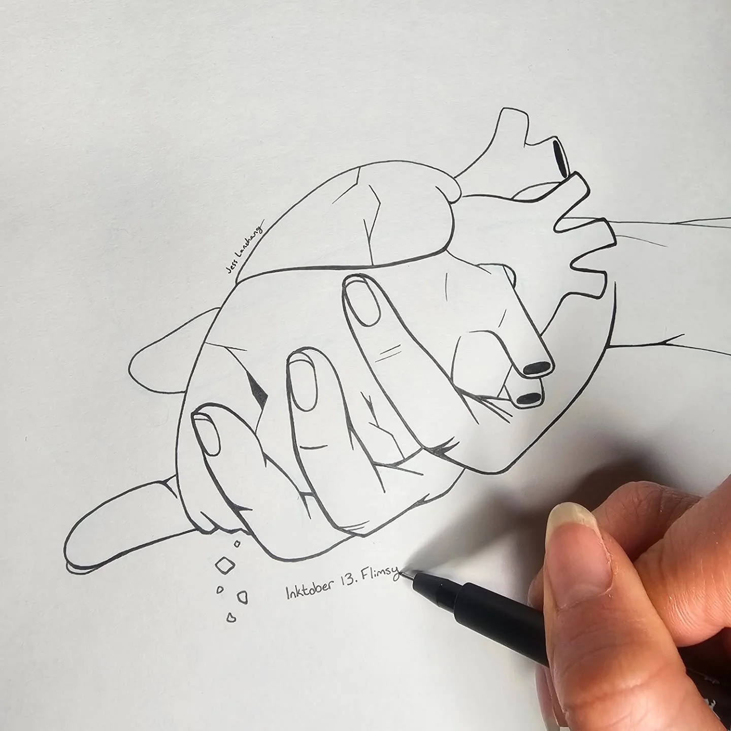 The heart is such a beautiful, delicate little thing 💔

#inktober #inktober2026 #inktoberflimsy #inktober2026flimsy #heartdrawing