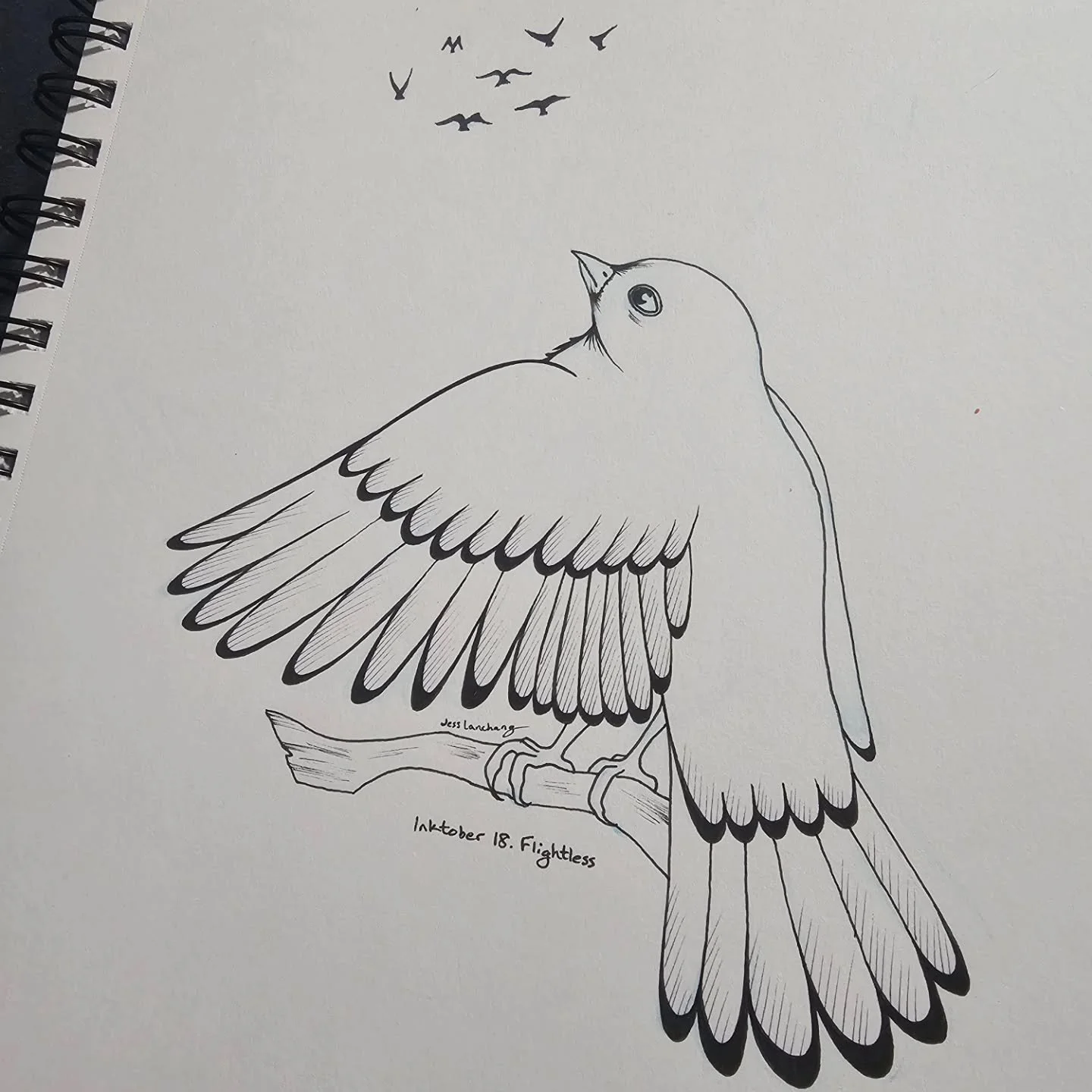 One of these things is not like the others....
Fell behind on posting these so catching up with 3 today.

#inktober2026 #inktoberflightless #inktober2026flightless #inktober #birddrawing