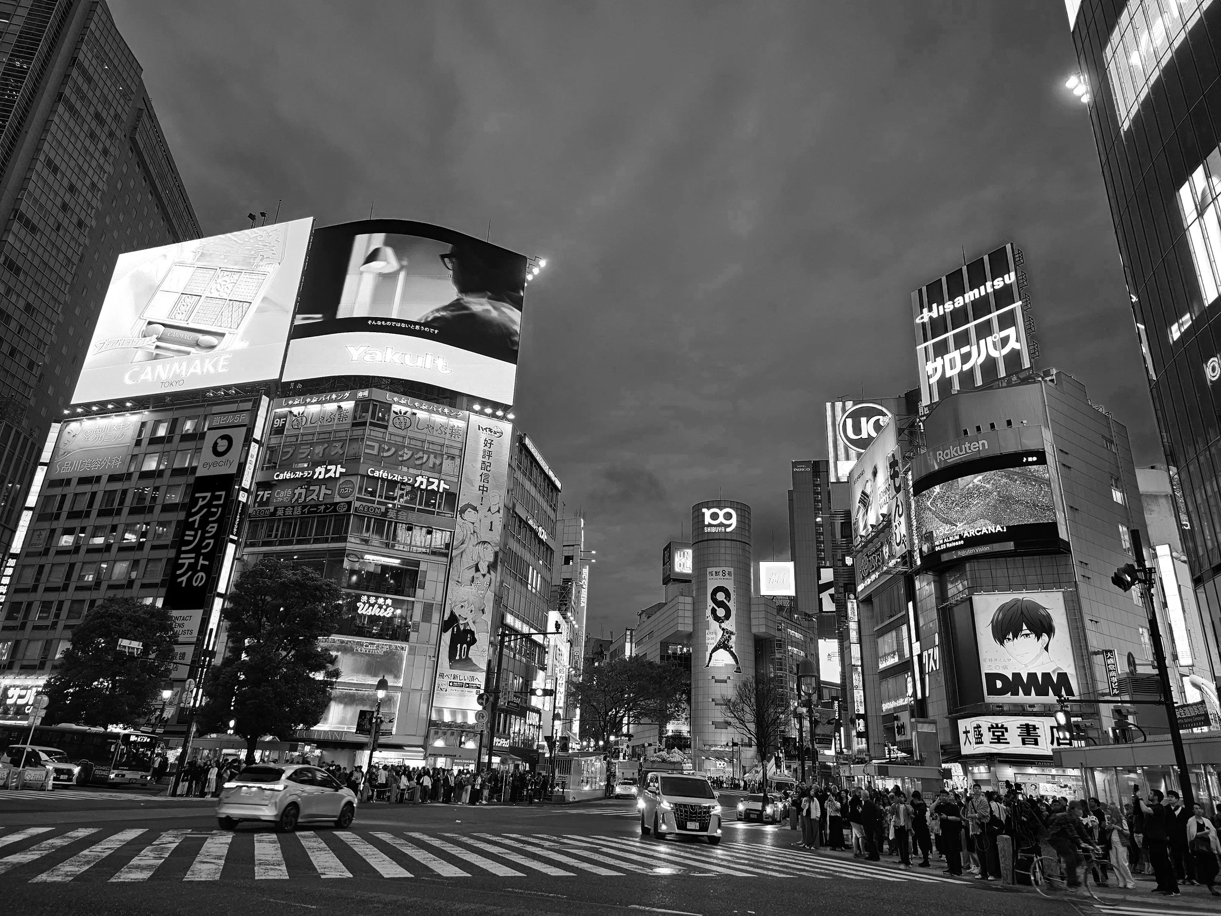 TokyoShibuyaCrossingBW.jpg