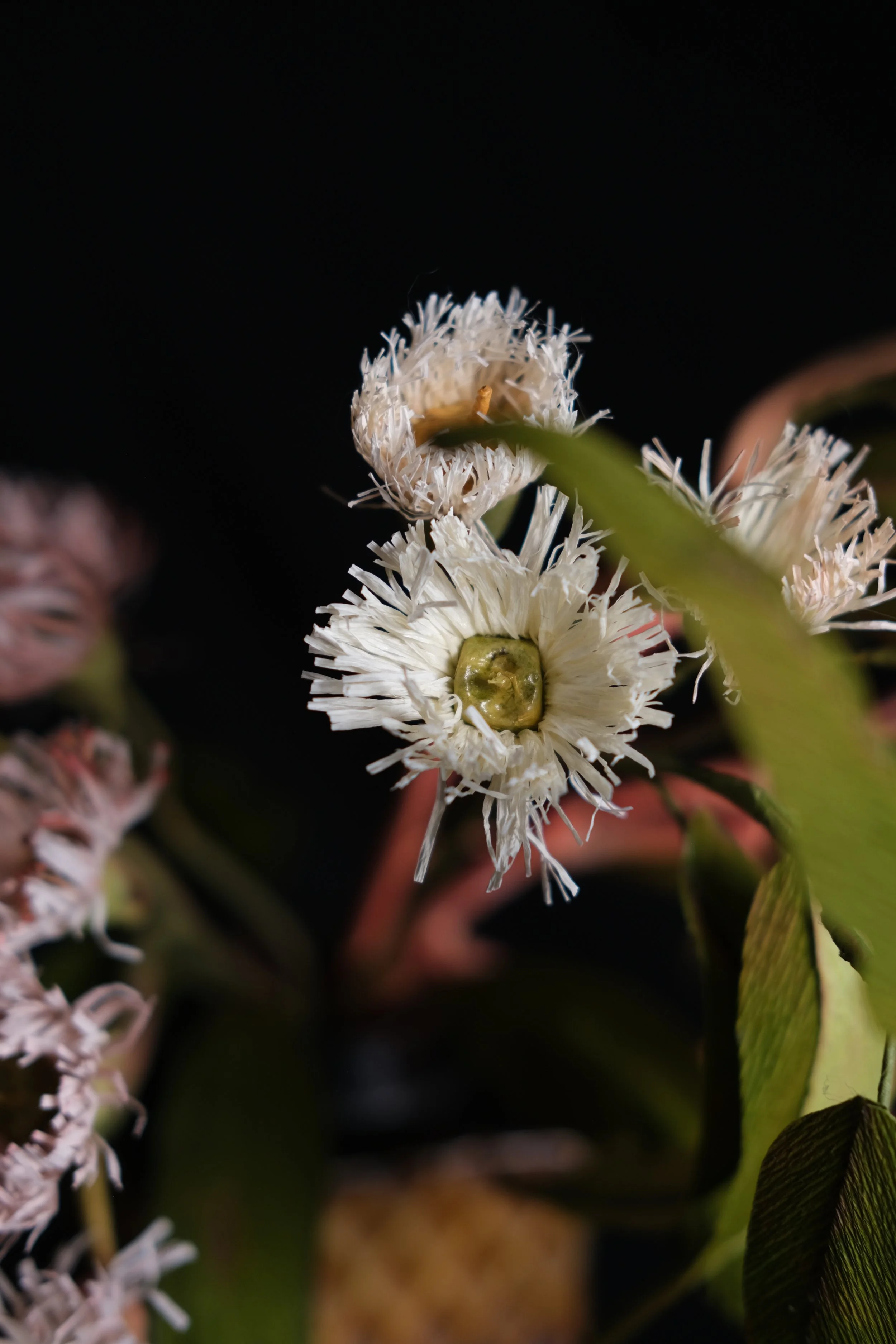 DSCF3834.JPG