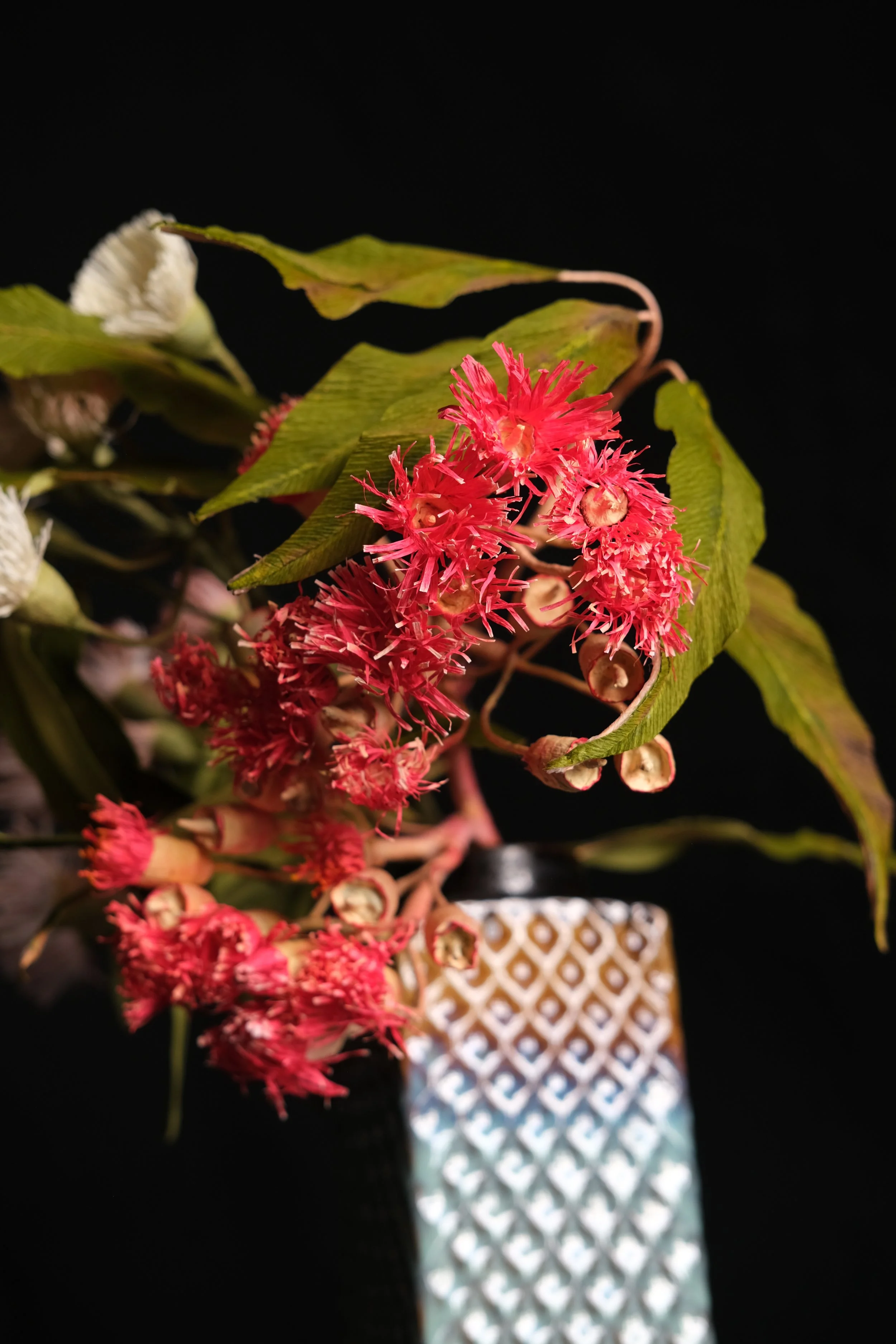 DSCF3820.JPG