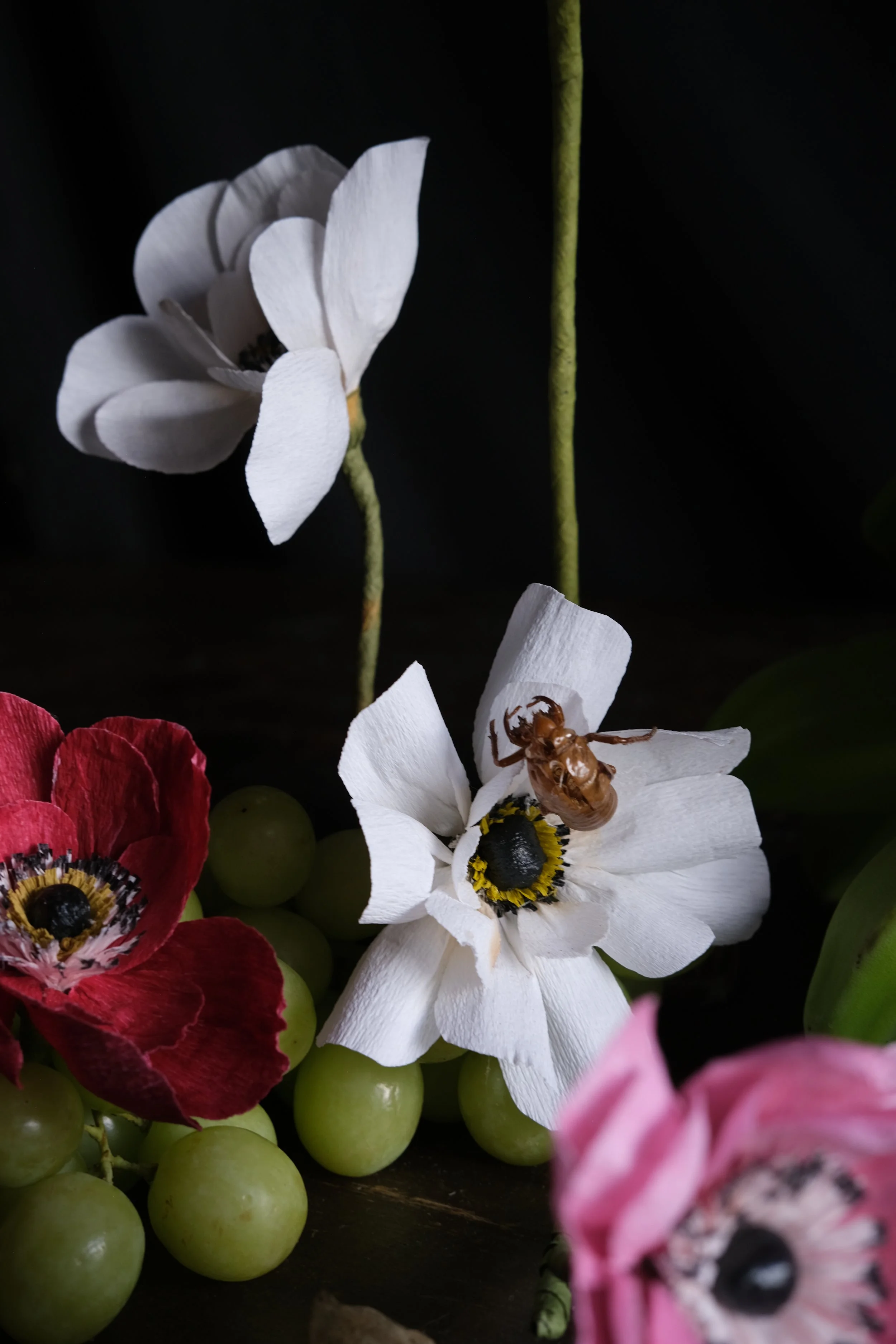 DSCF3749.JPG
