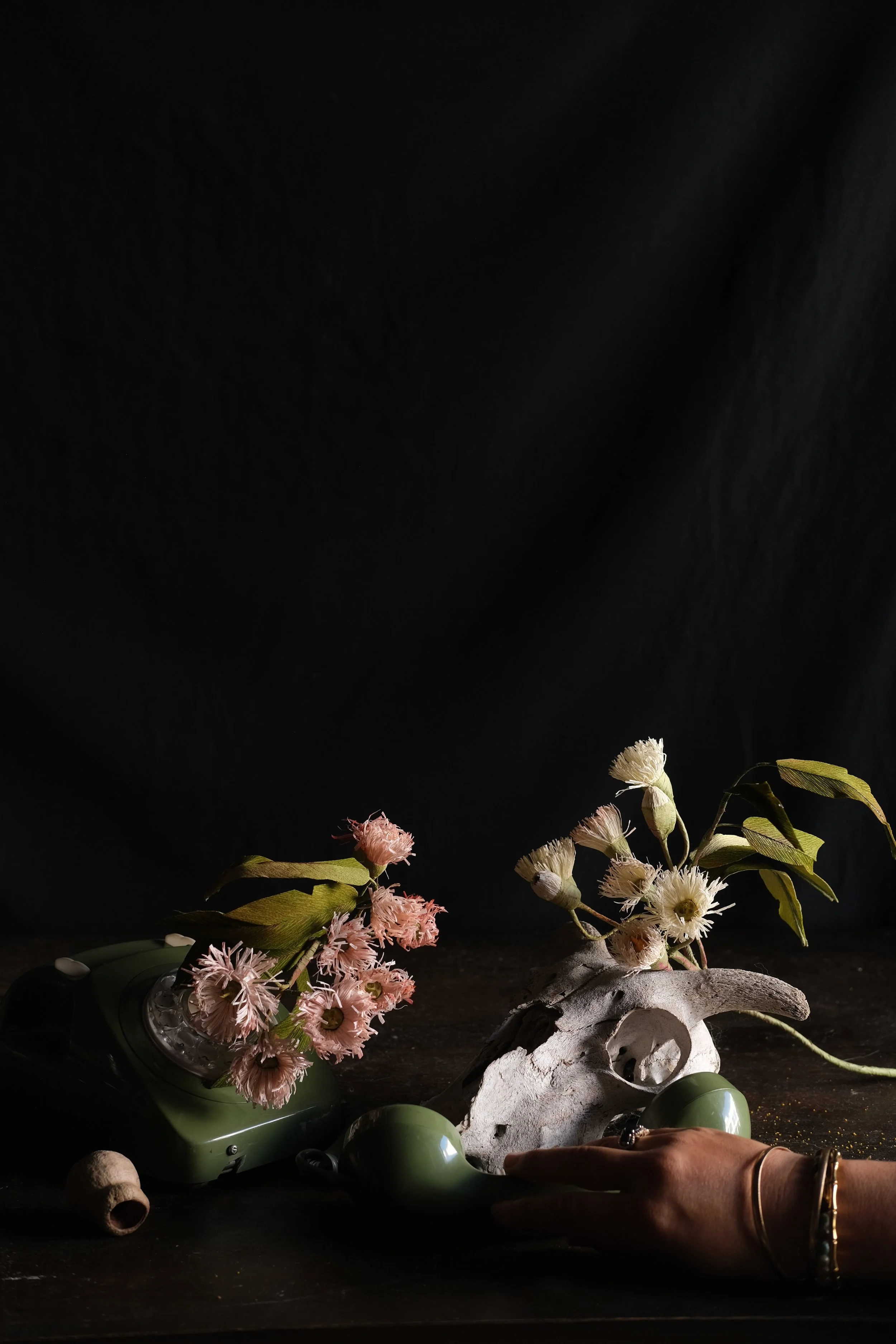 DSCF3865.JPG