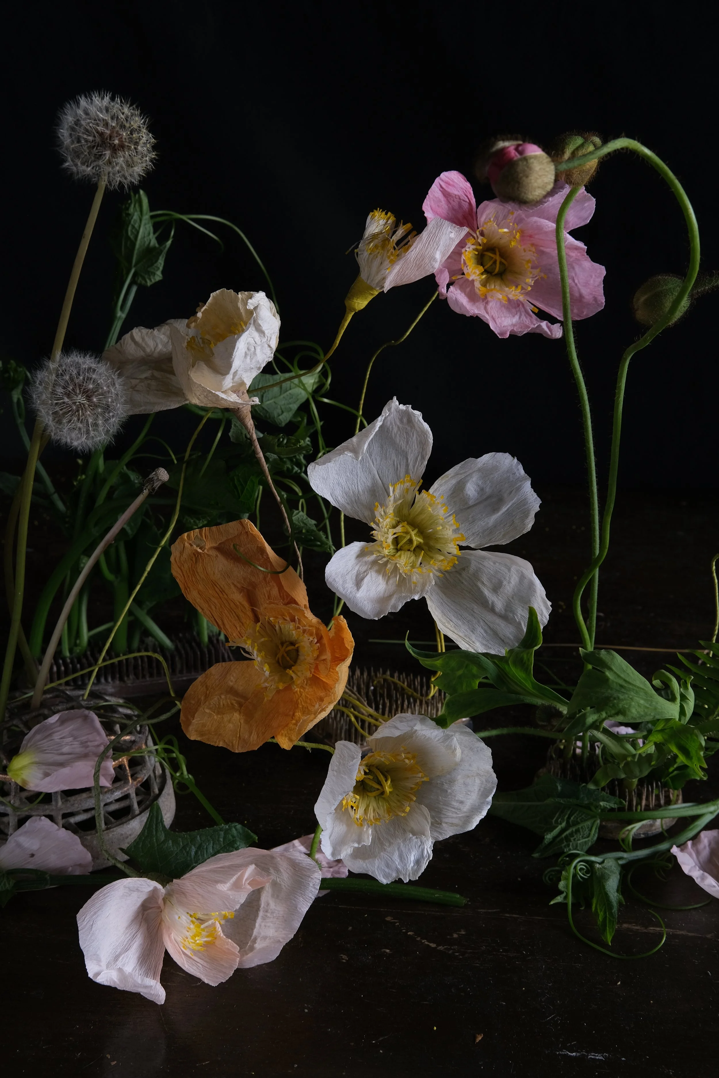 DSCF3781.JPG